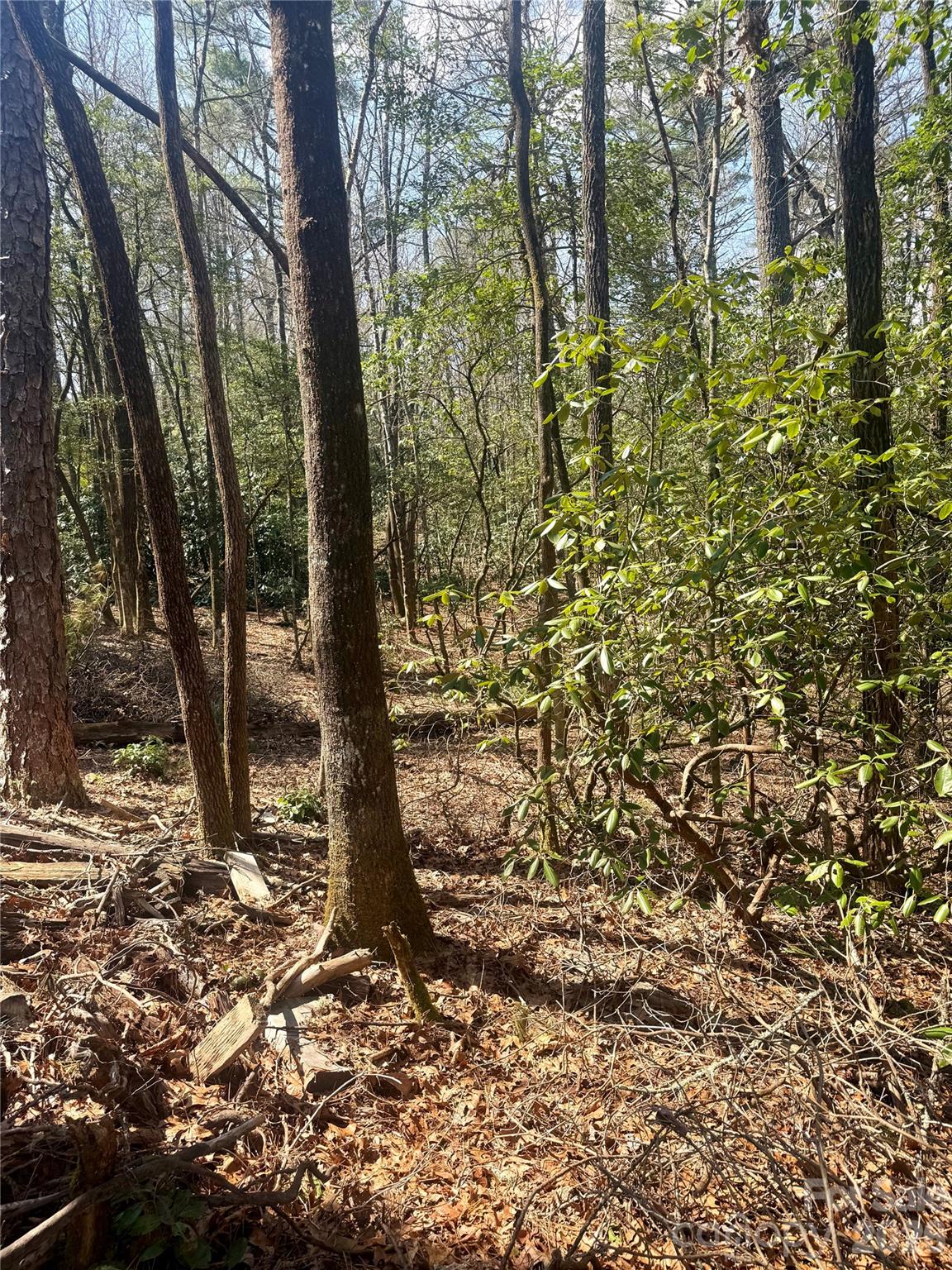 Tbd Minerva Lane Lots 79,80,84 Property Photo 4