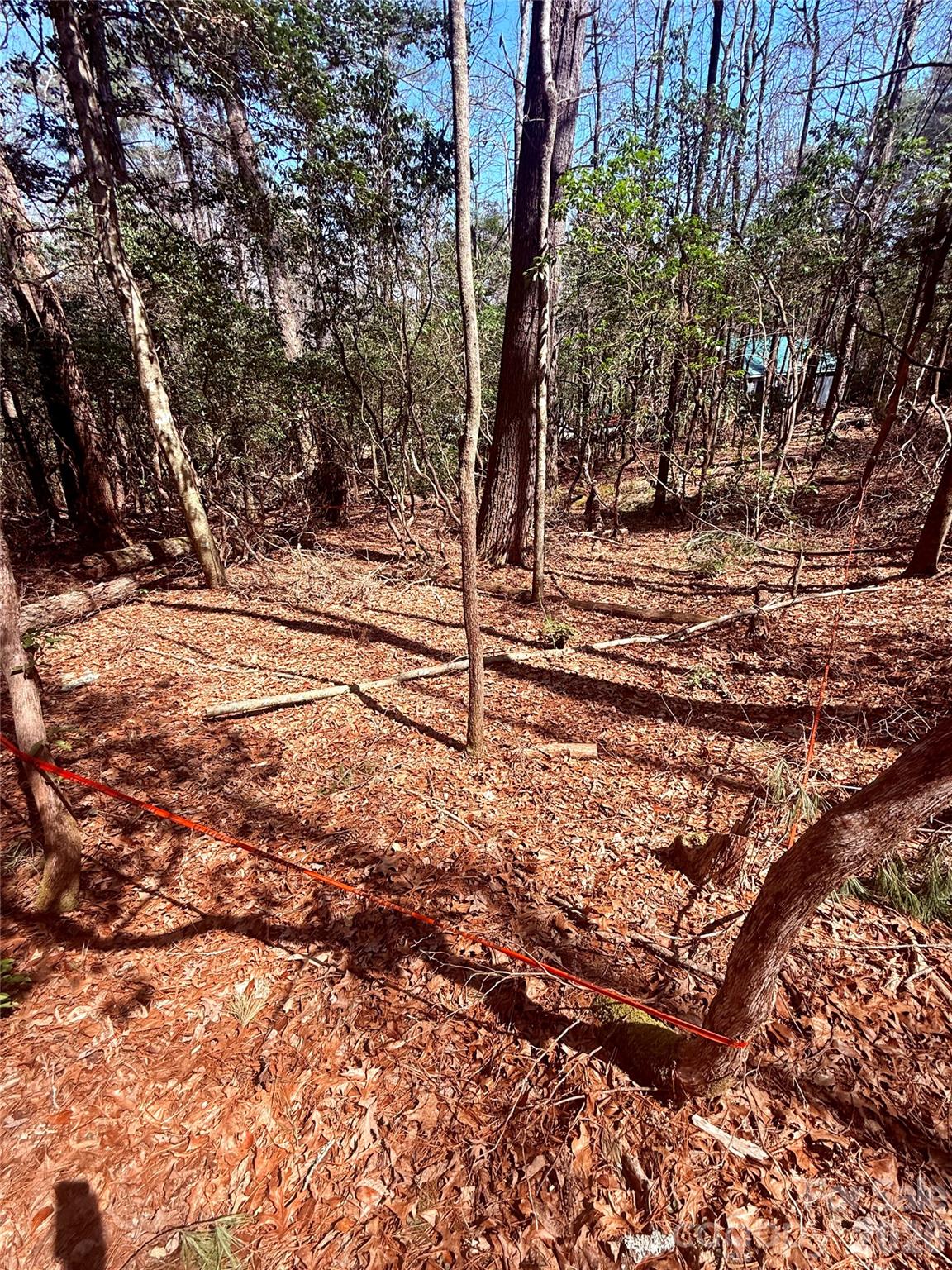 Tbd Minerva Lane Lots 79,80,84 Property Photo 6