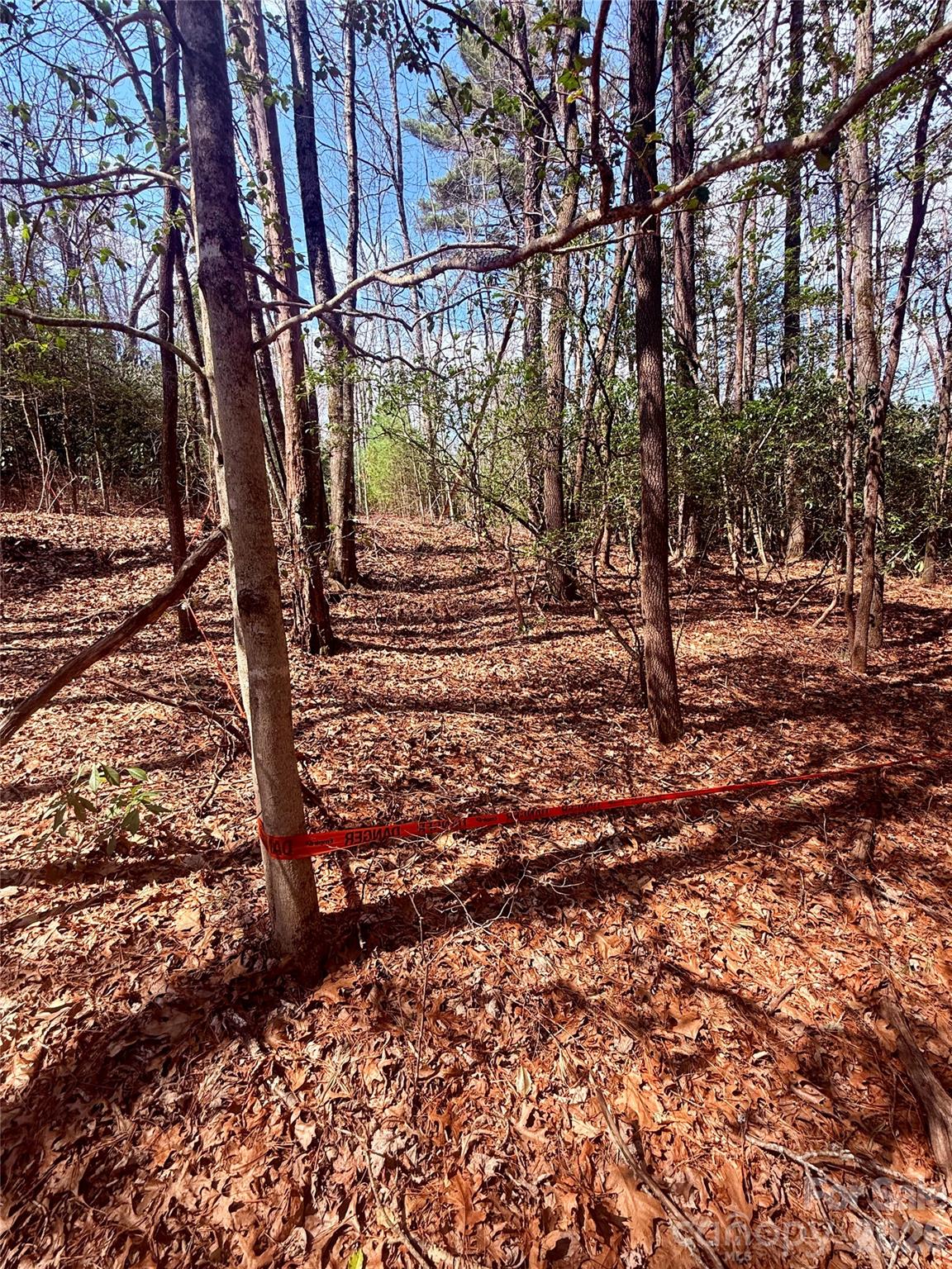 Tbd Minerva Lane Lots 79,80,84 Property Photo 7