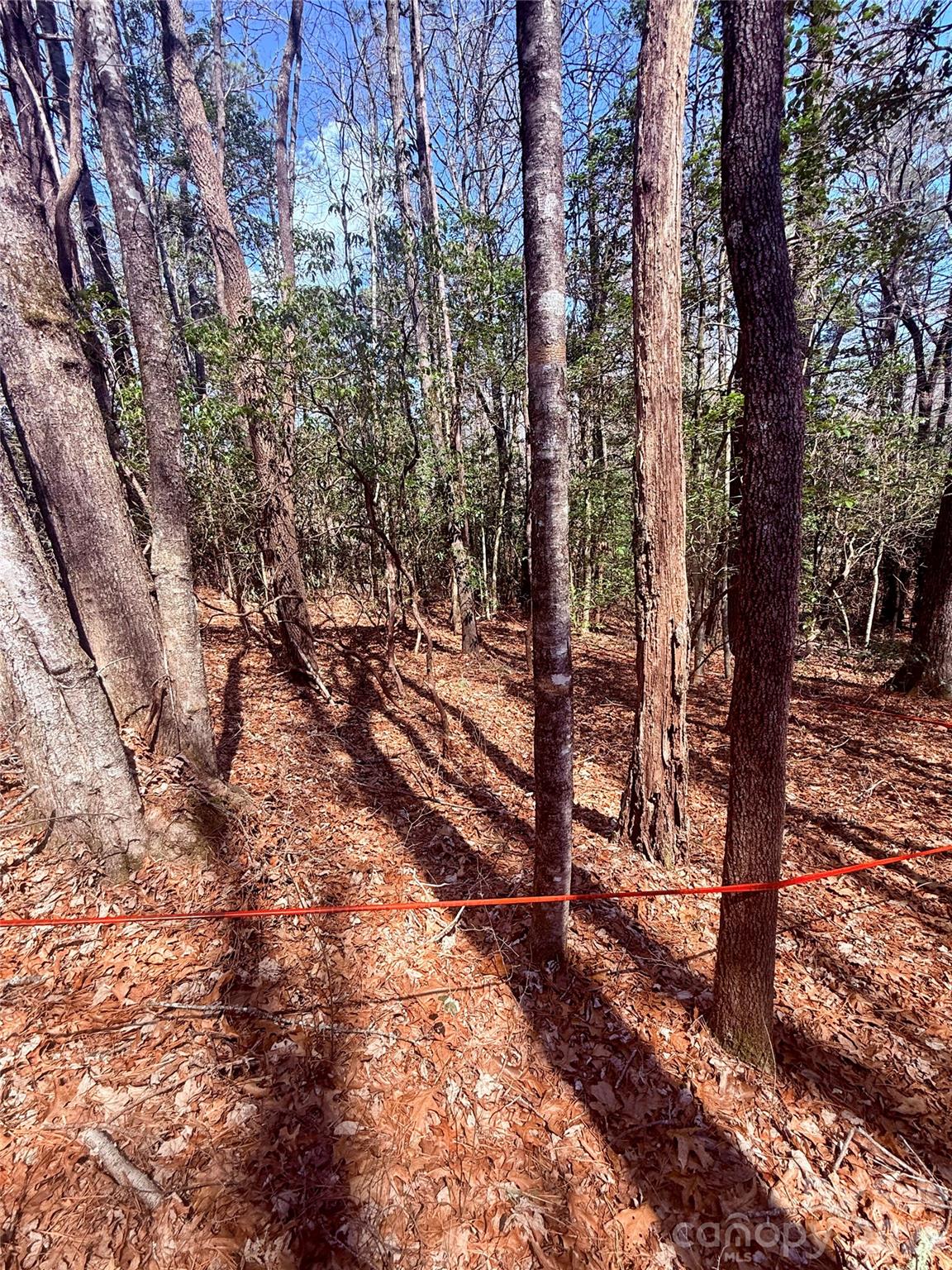 Tbd Minerva Lane Lots 79,80,84 Property Photo 8