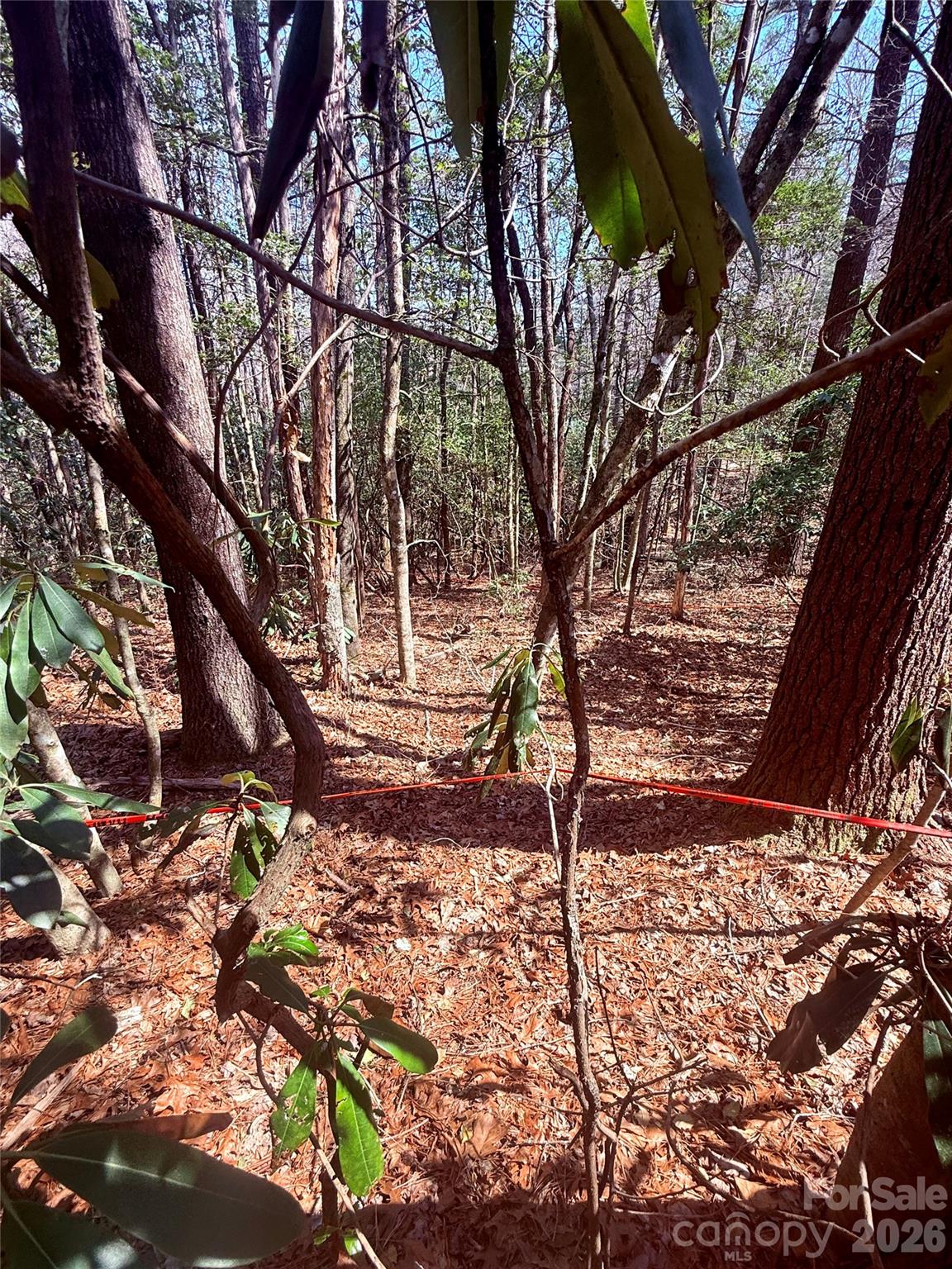 Tbd Minerva Lane Lots 79,80,84 Property Photo 9