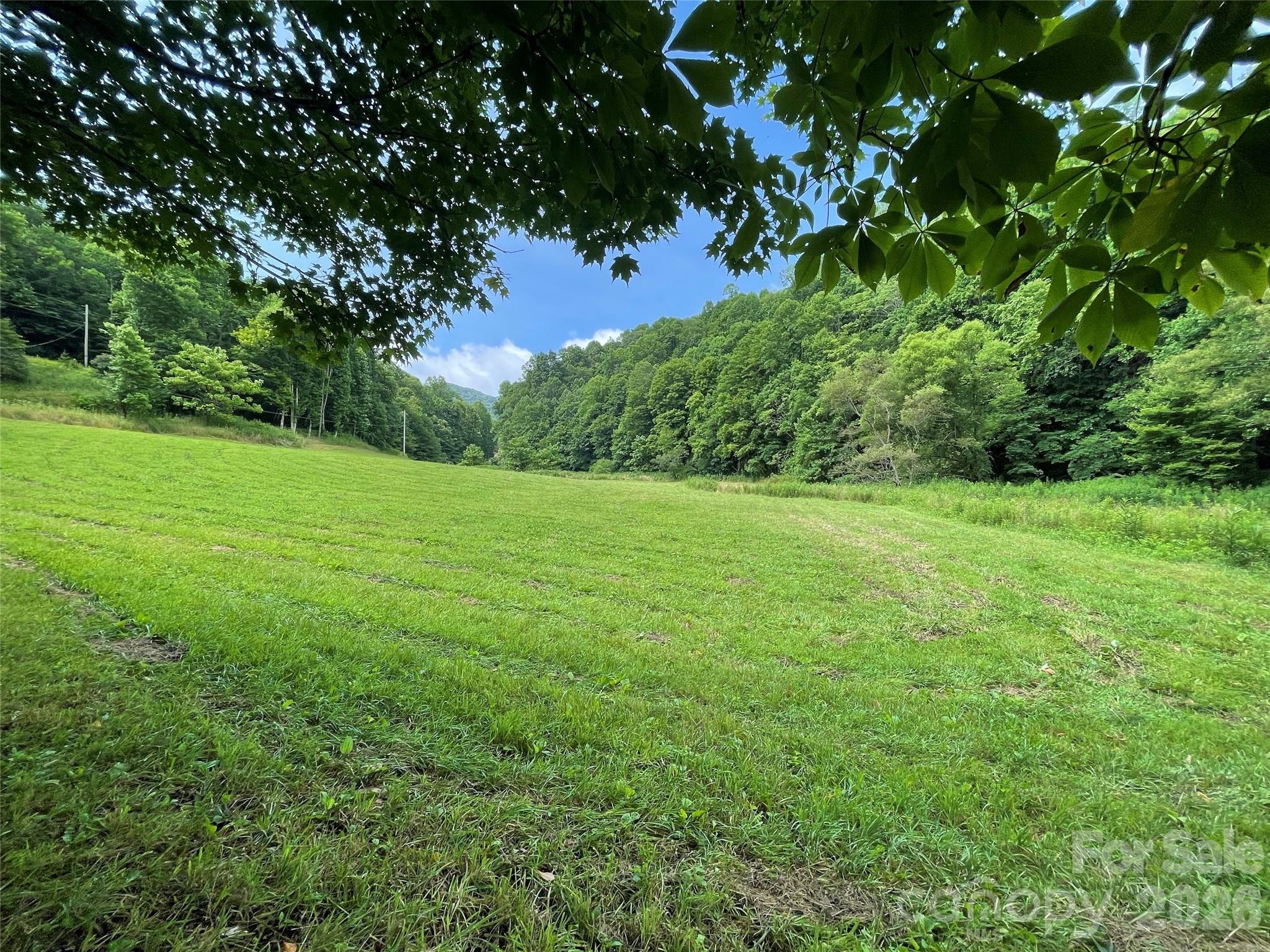 Tbd Sugar Camp Road Property Photo 4