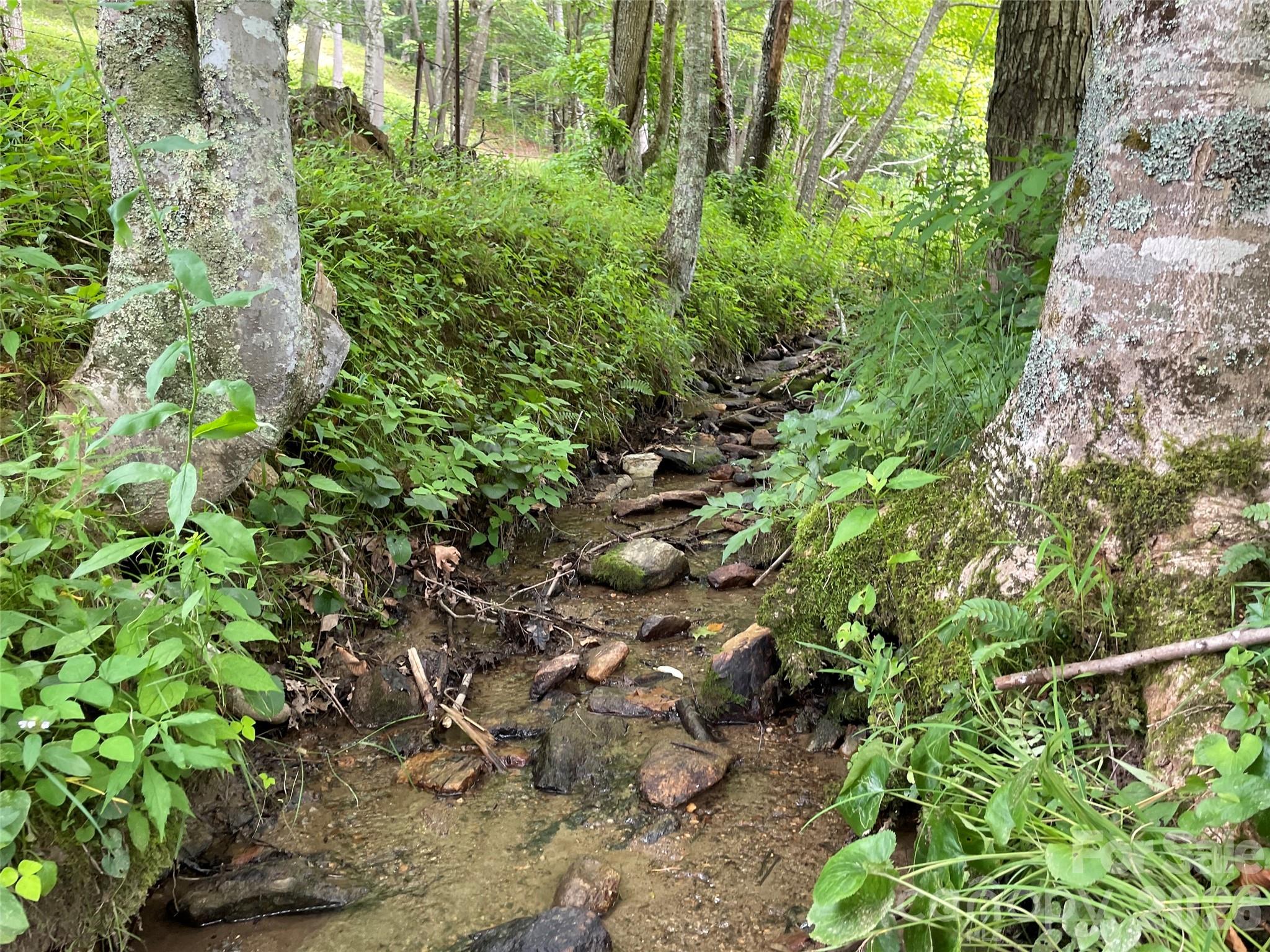 Tbd Sugar Camp Road Property Photo 10