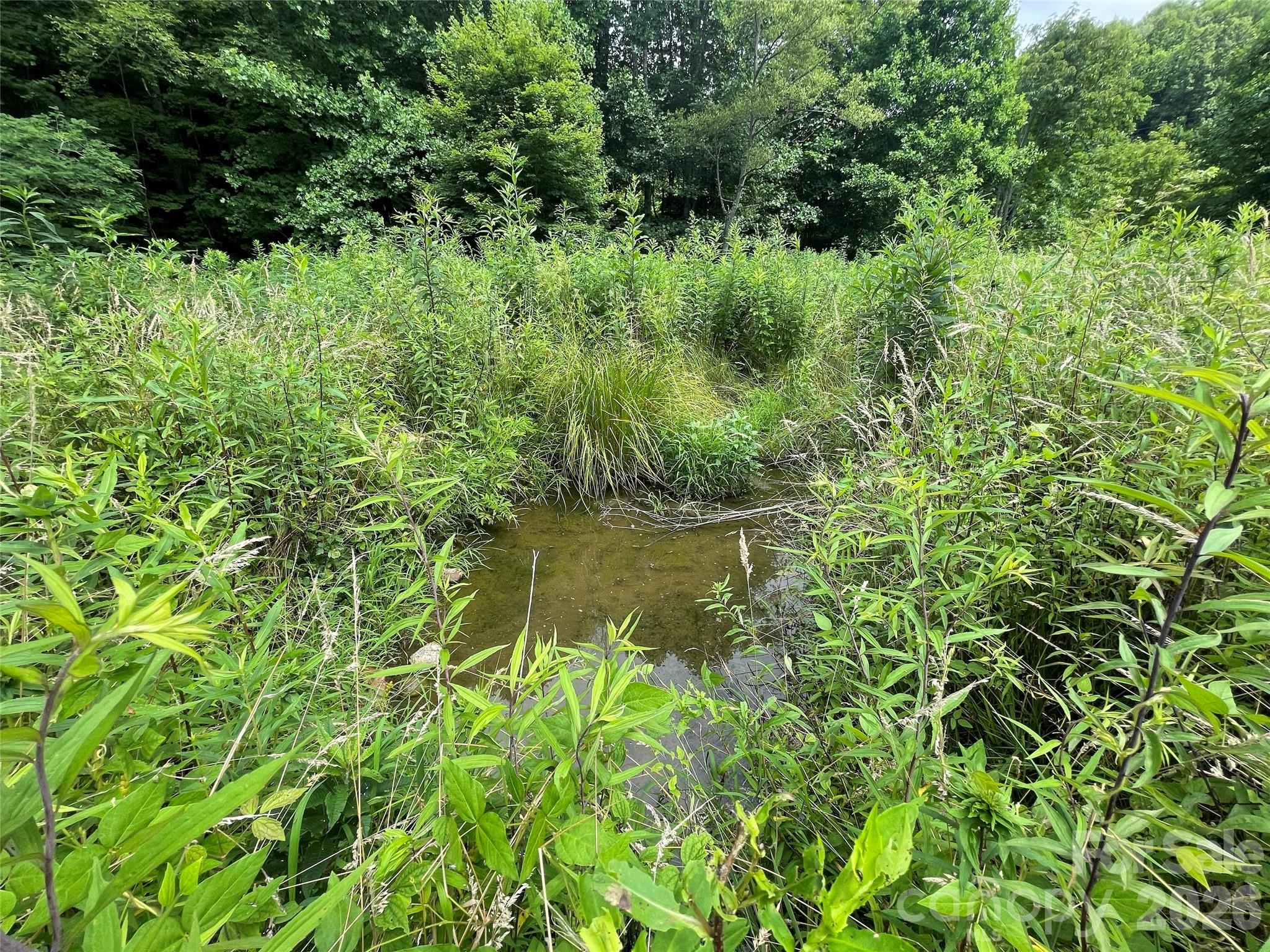 Tbd Sugar Camp Road Property Photo 11