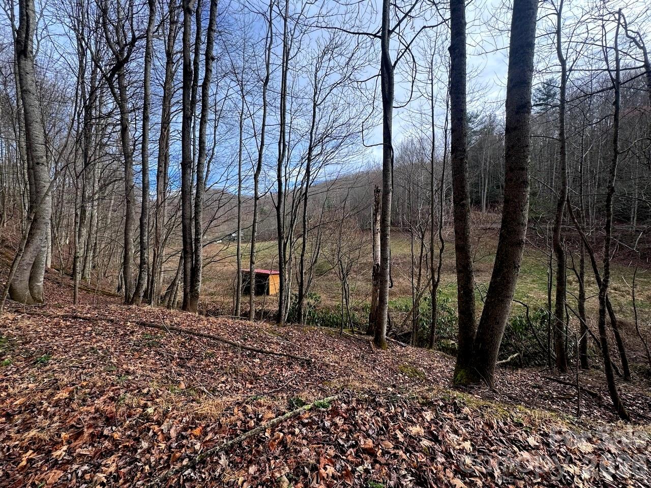 Tbd Sugar Camp Road Property Photo 14