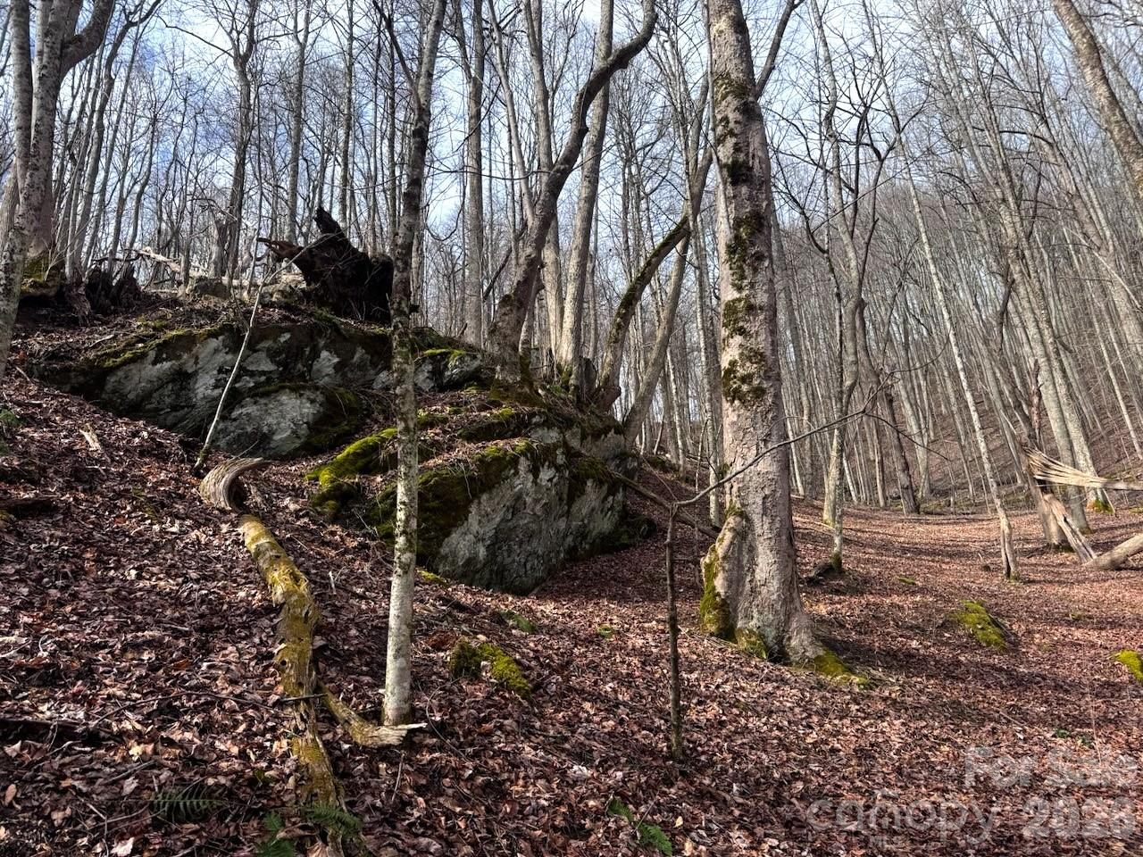 Tbd Sugar Camp Road Property Photo 18