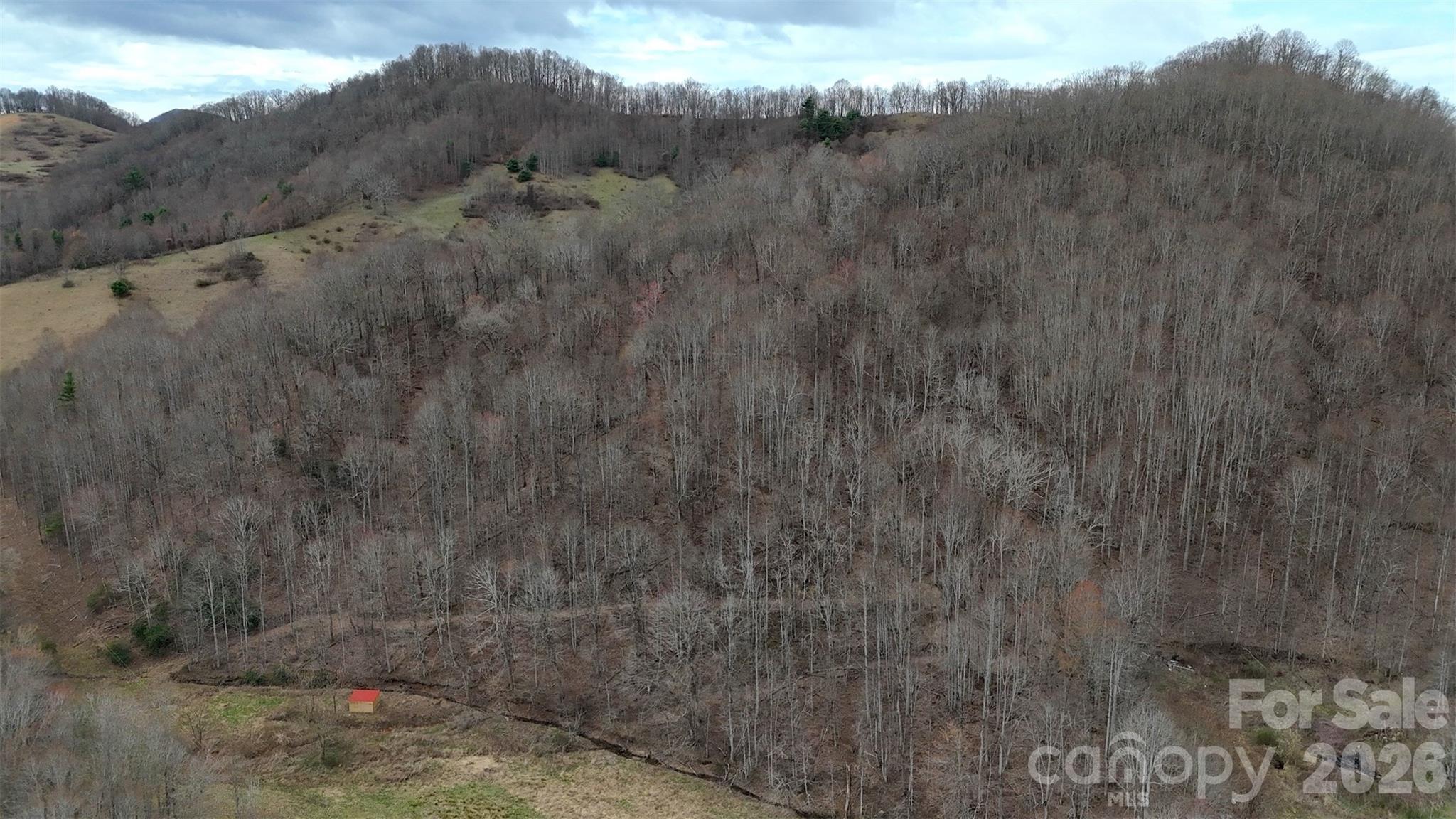 Tbd Sugar Camp Road Property Photo 19