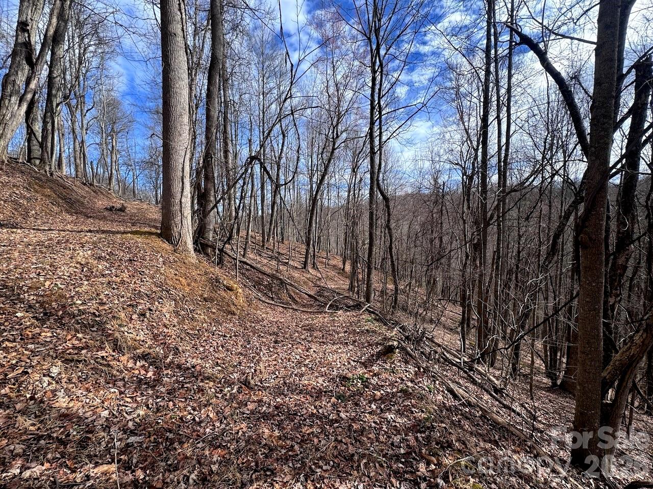 Tbd Sugar Camp Road Property Photo 20