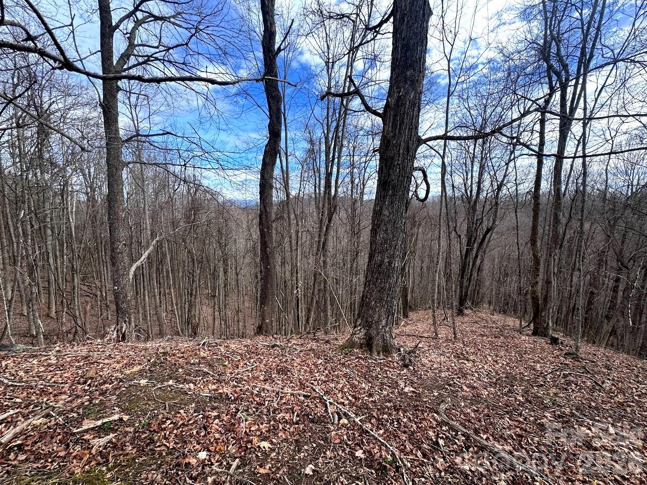 Tbd Sugar Camp Road Property Photo 21