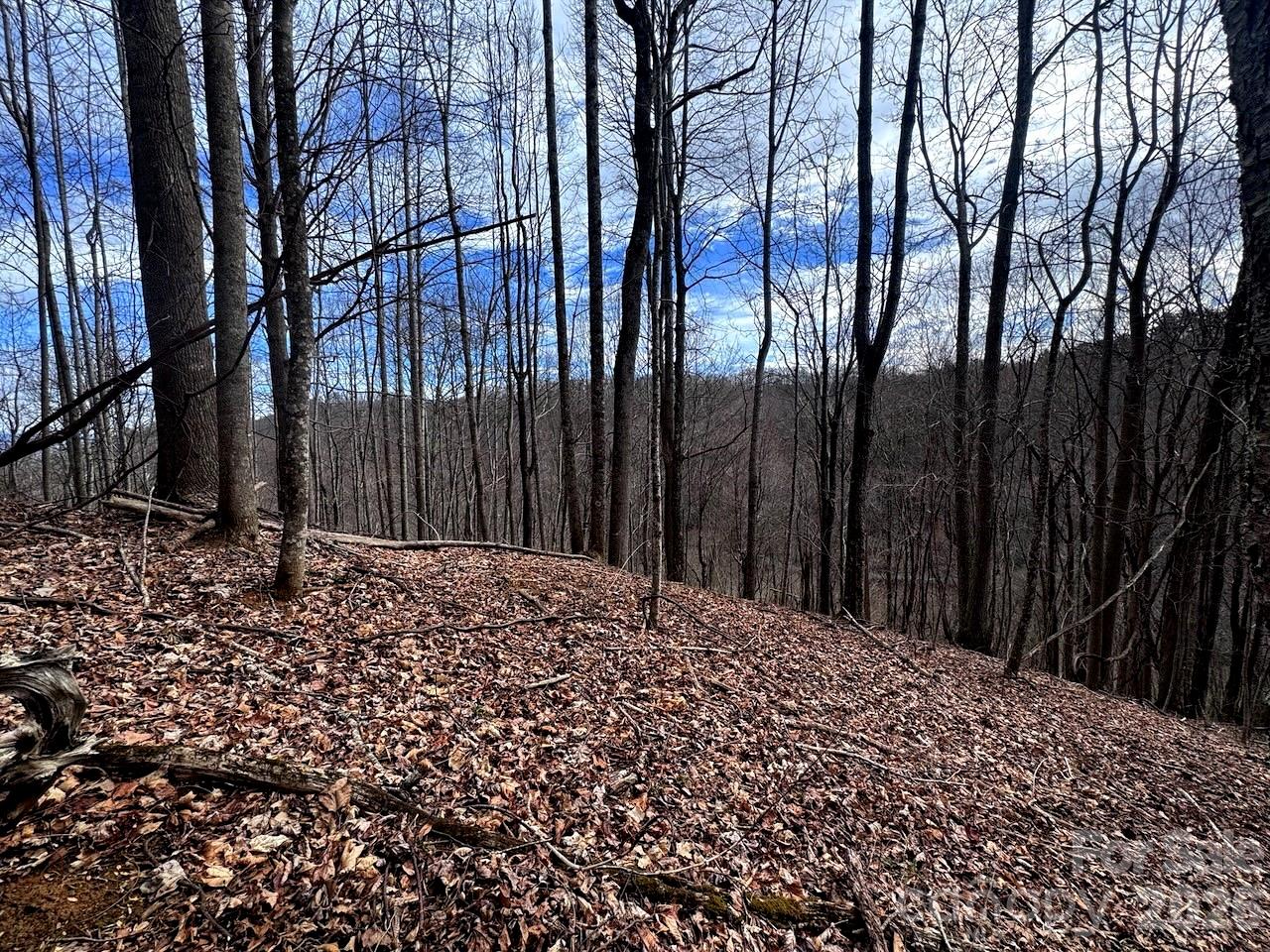 Tbd Sugar Camp Road Property Photo 22