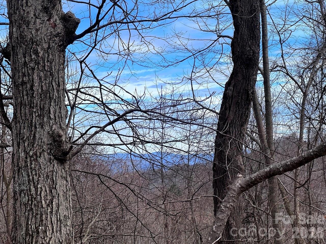 Tbd Sugar Camp Road Property Photo 23