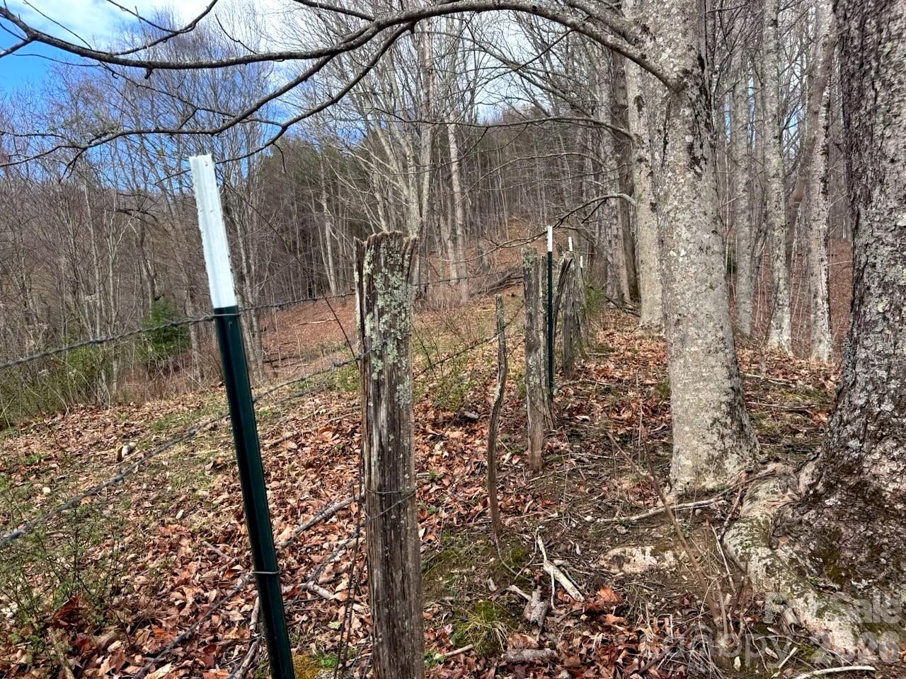 Tbd Sugar Camp Road Property Photo 25
