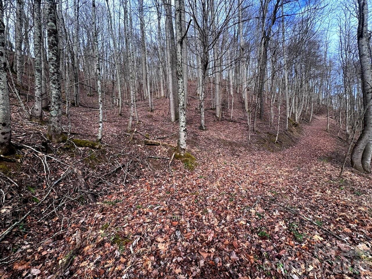 Tbd Sugar Camp Road Property Photo 32