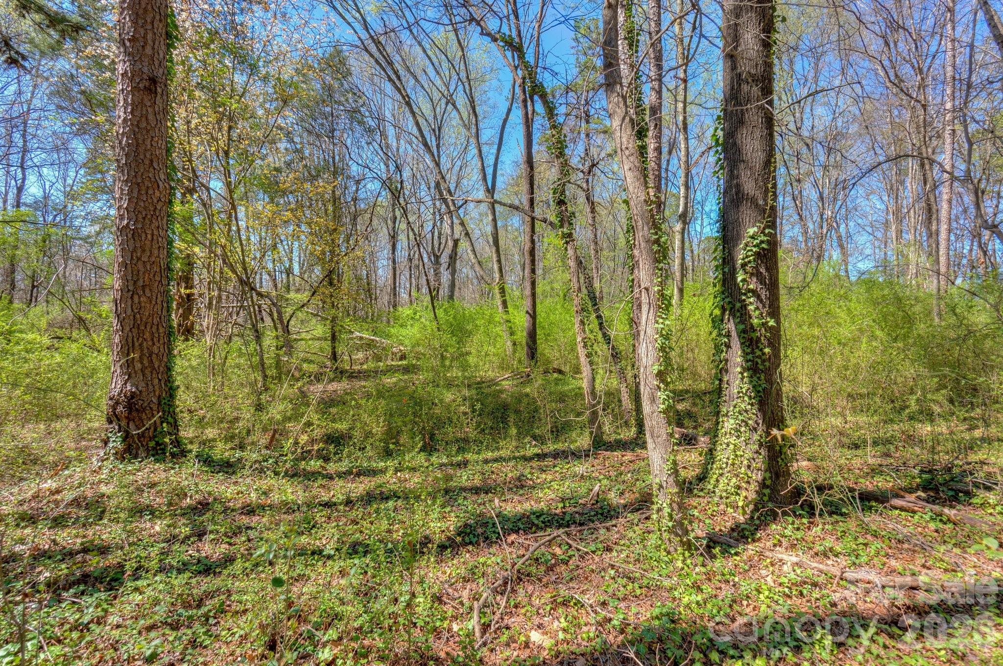 7714 Babe Stillwell Farm Road Property Photo 4