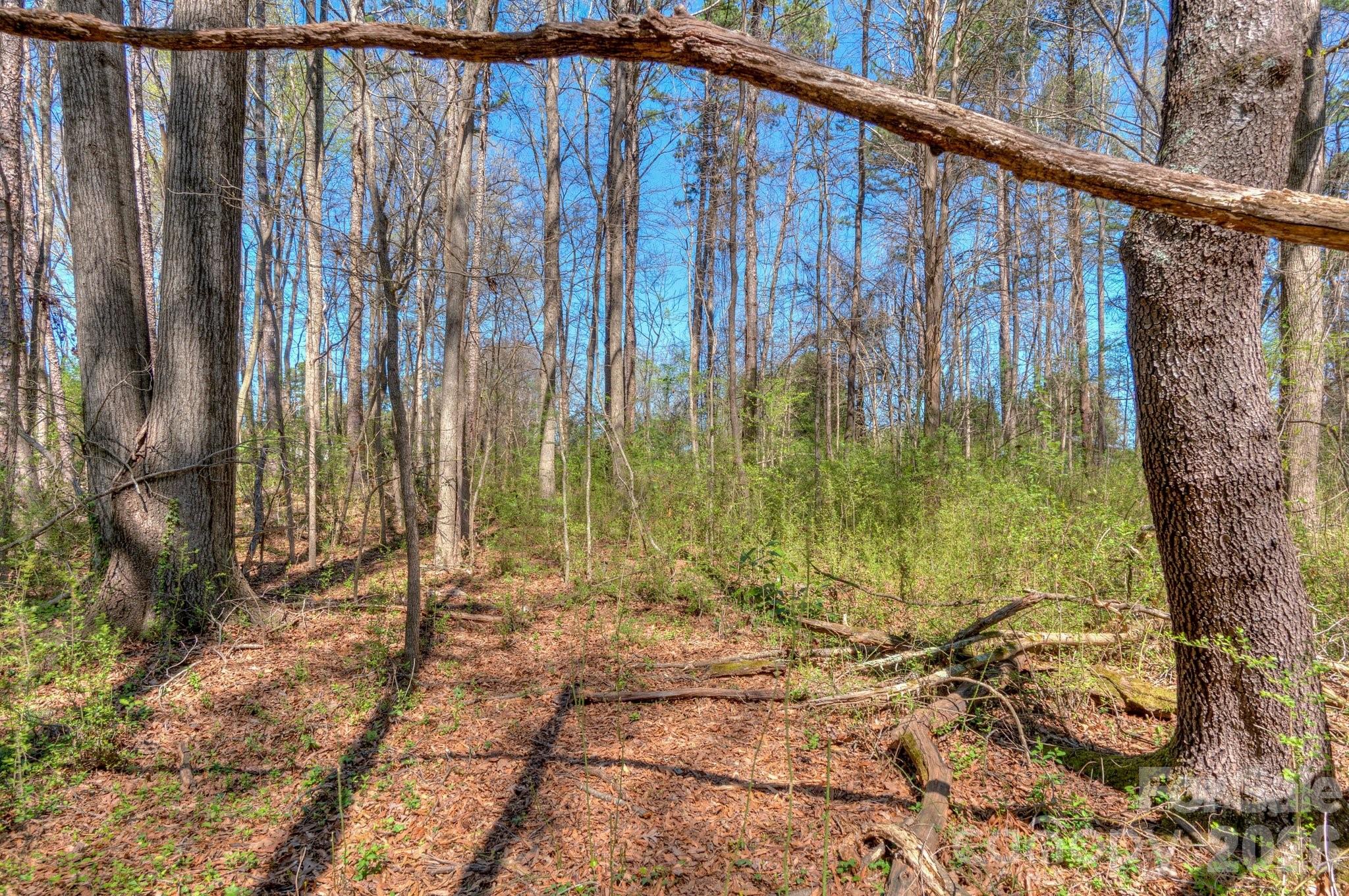 7714 Babe Stillwell Farm Road Property Photo 15