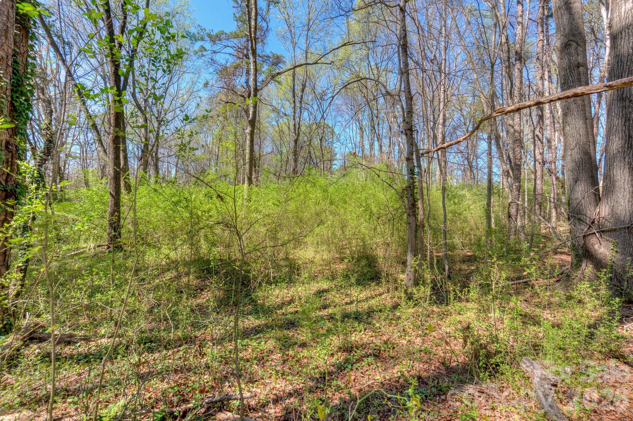7714 Babe Stillwell Farm Road Property Photo 16