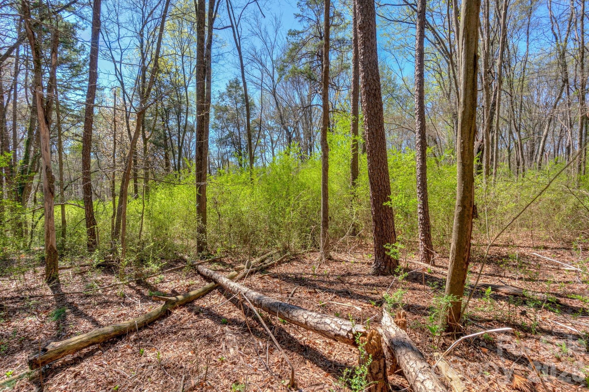 7714 Babe Stillwell Farm Road Property Photo 17