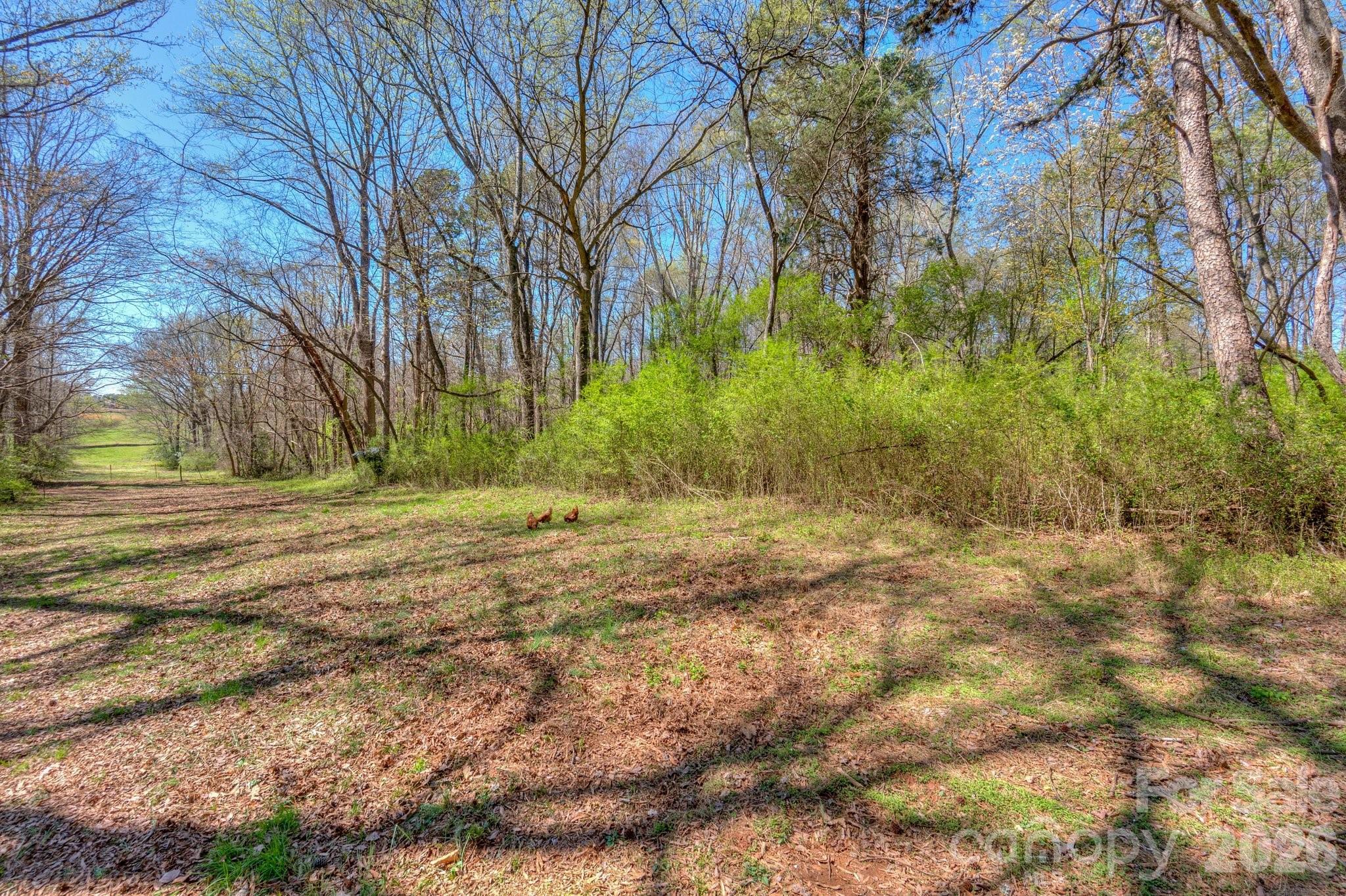 7714 Babe Stillwell Farm Road Property Photo 19