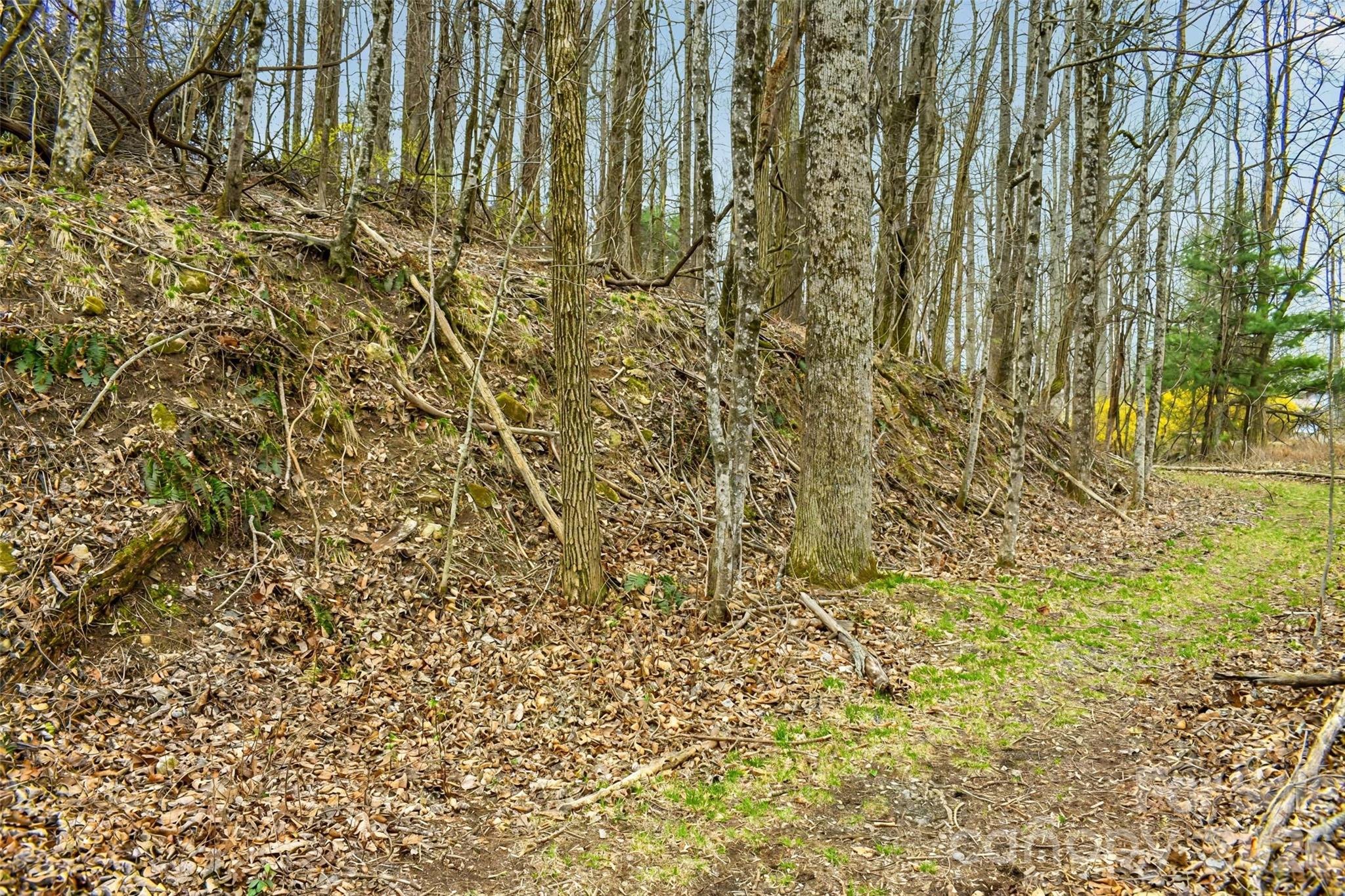 252 Pinewood Circle Property Photo 4