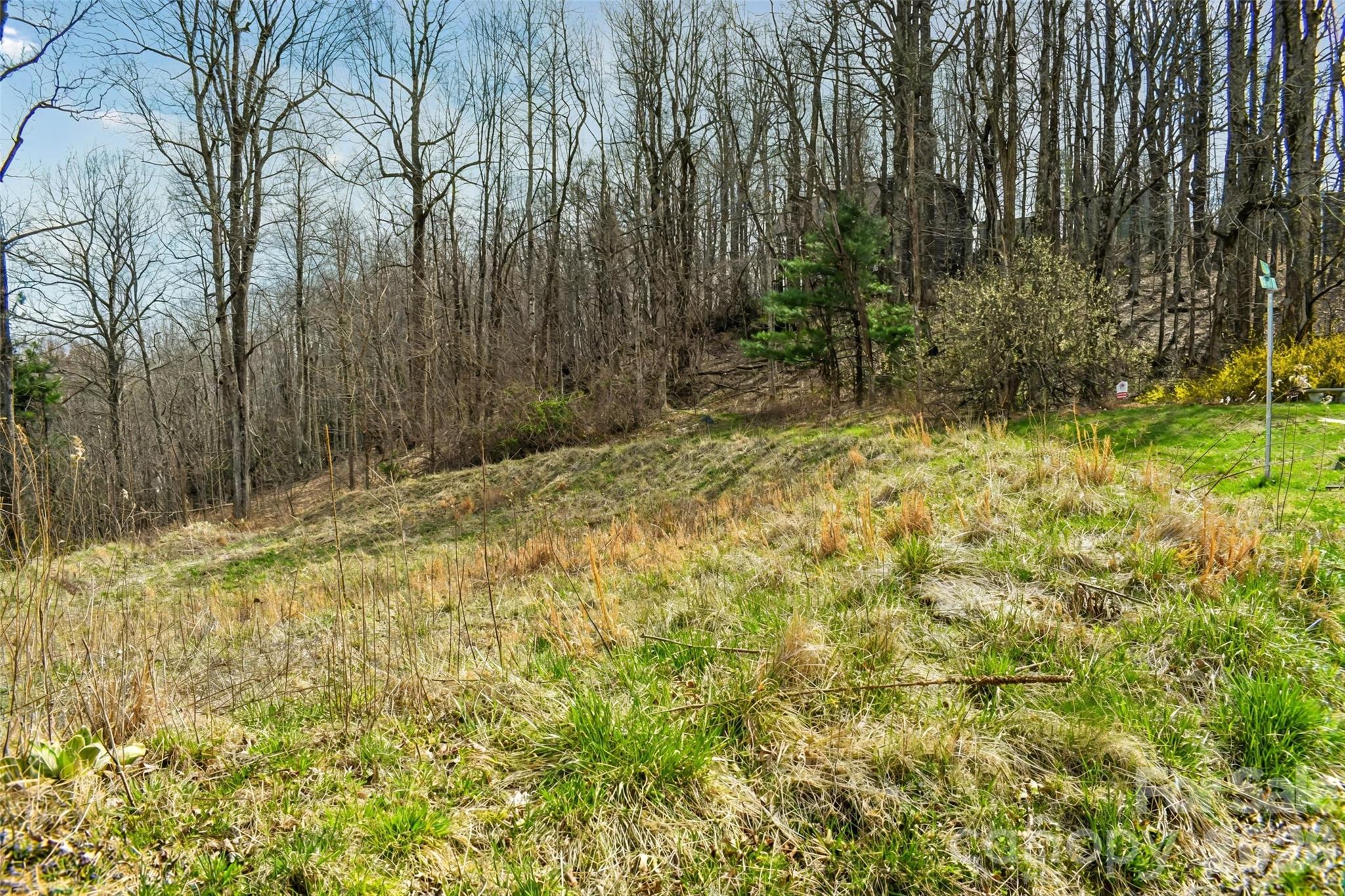 252 Pinewood Circle Property Photo 8