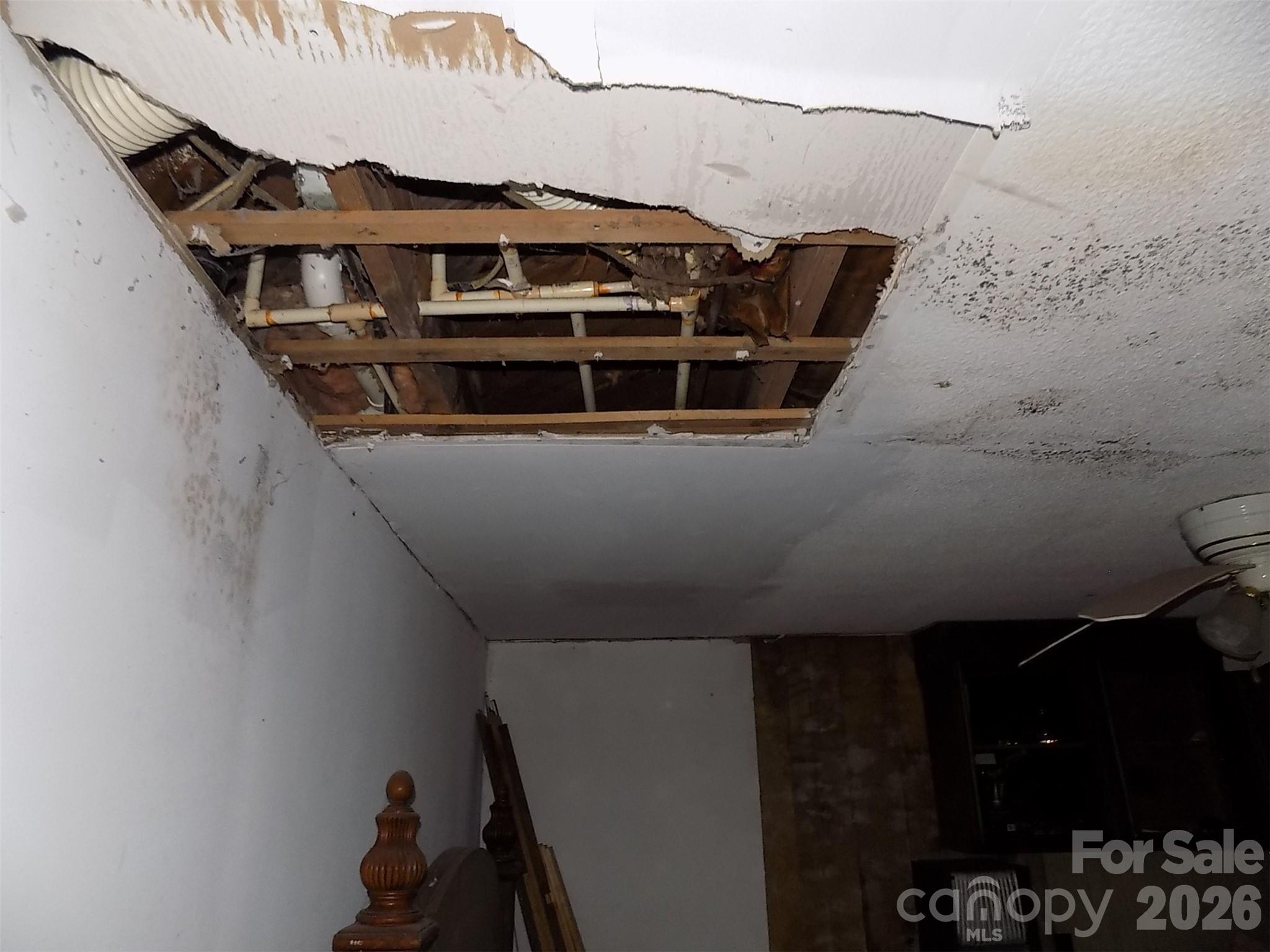 2605 Lowell Road Property Photo 15