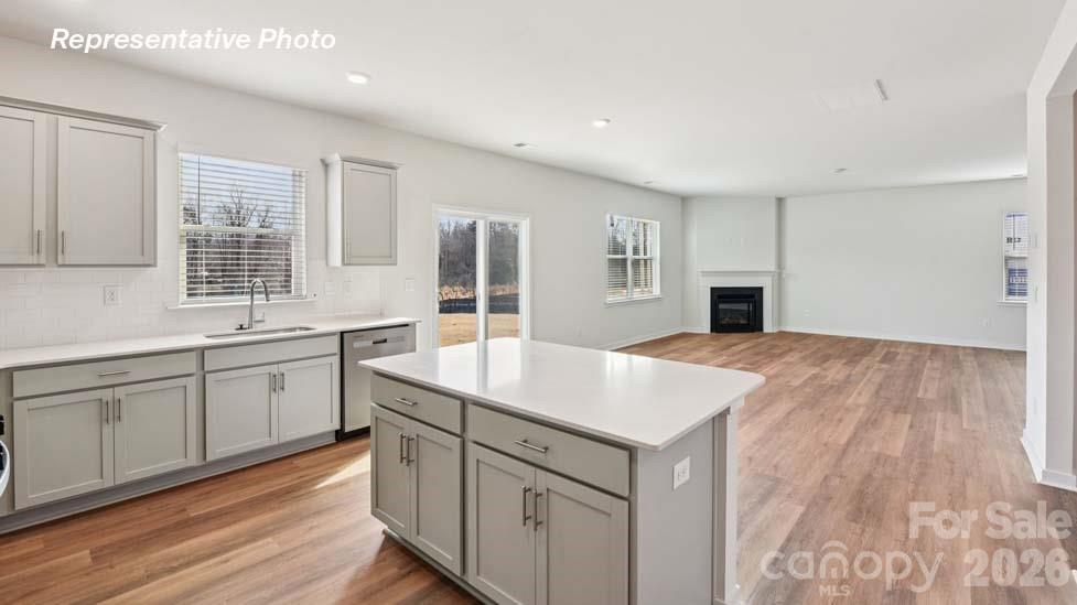 490 Dazzle Loop Property Photo 9