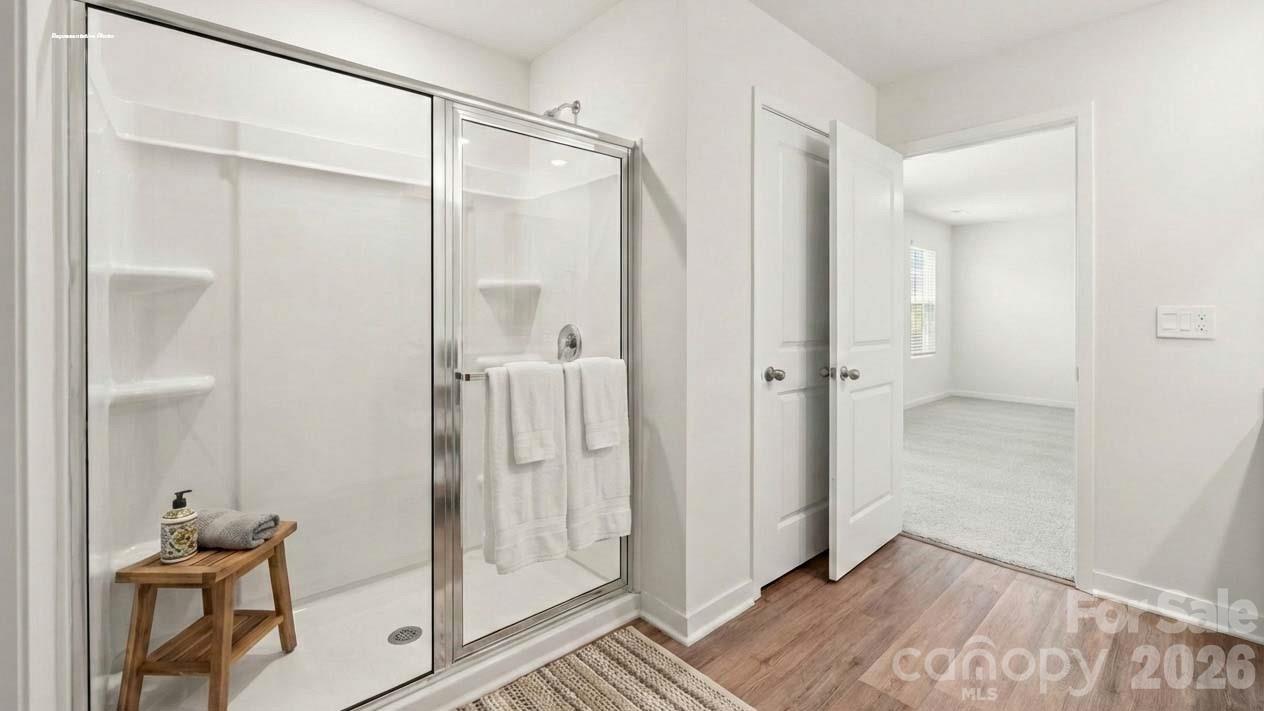 490 Dazzle Loop Property Photo 18