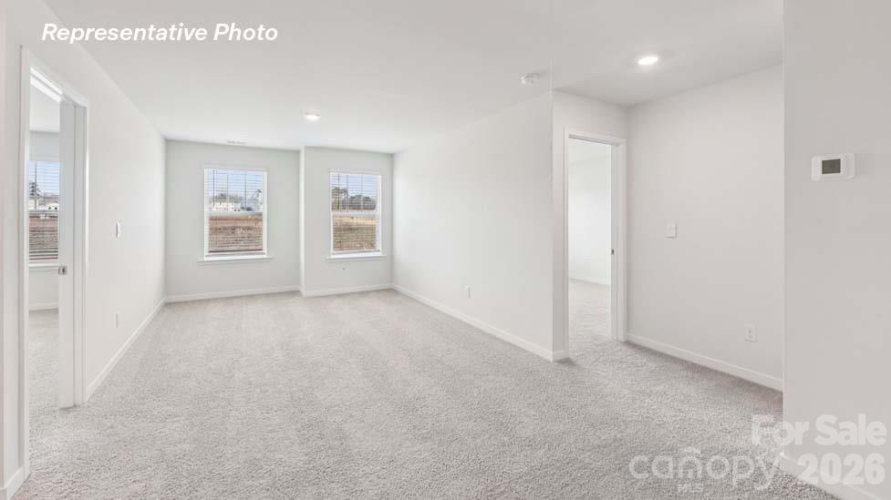 490 Dazzle Loop Property Photo 20