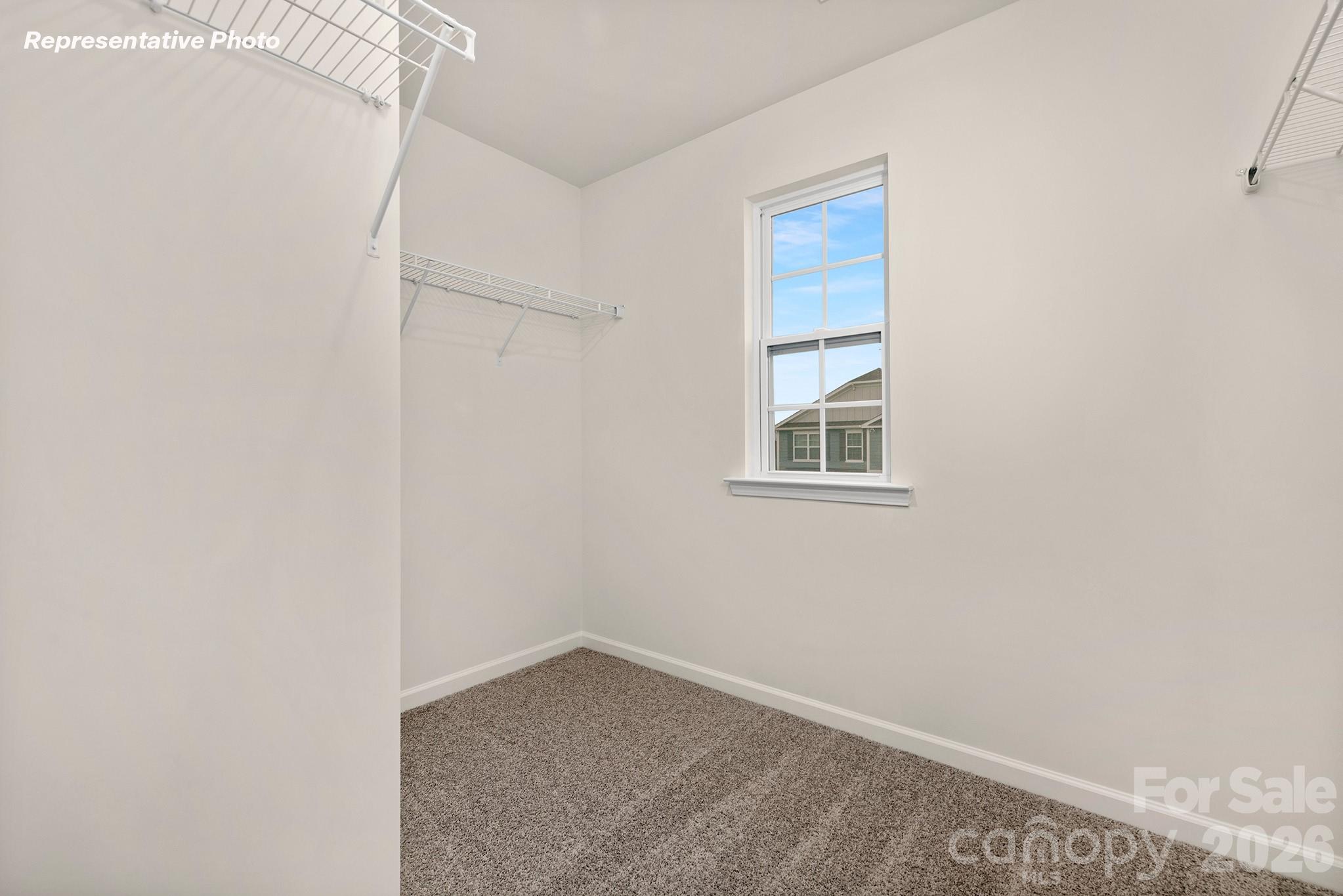 517 Dazzle Loop Property Photo 17