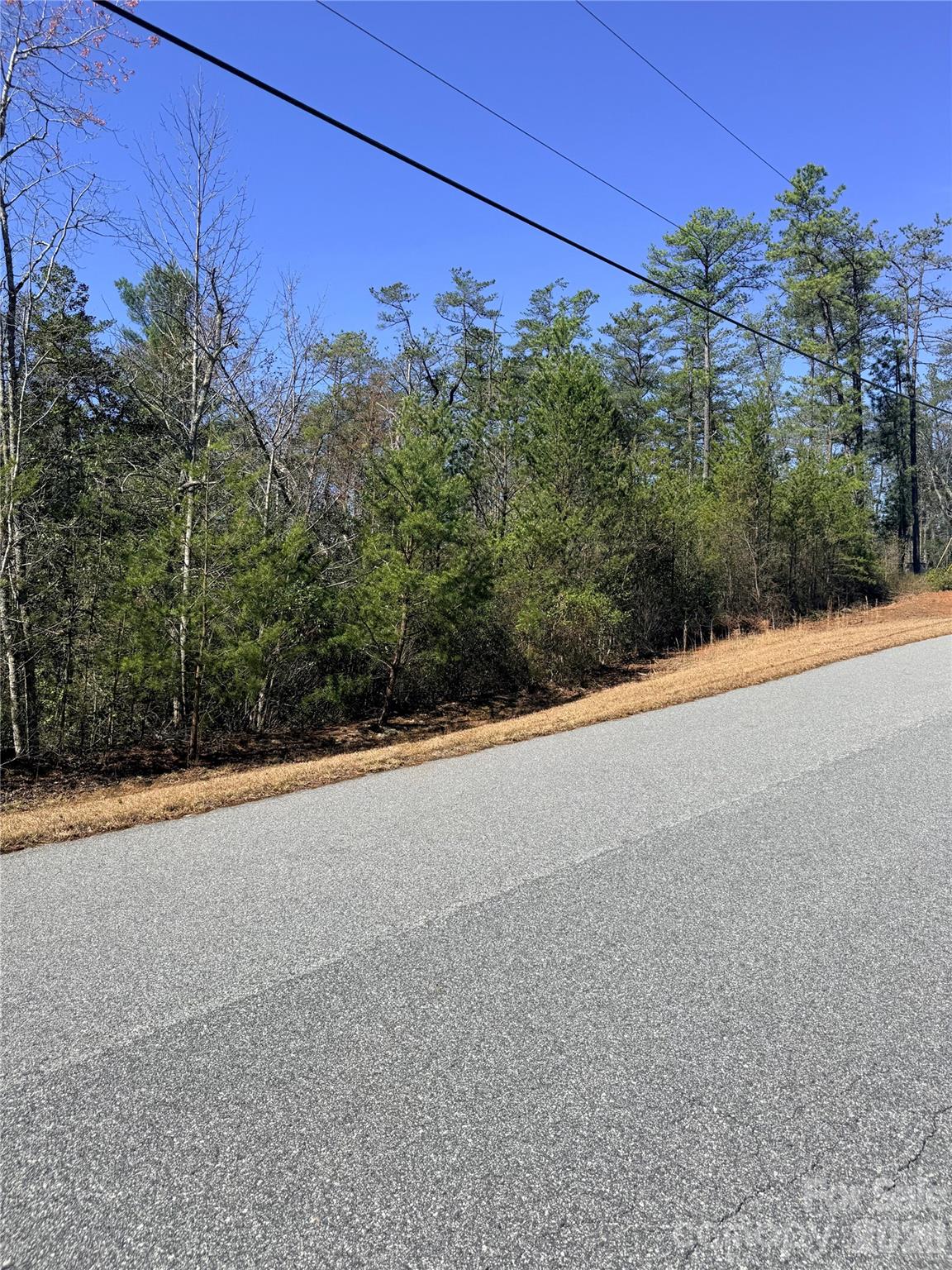 Tbd John Wilson Lane Property Photo 6