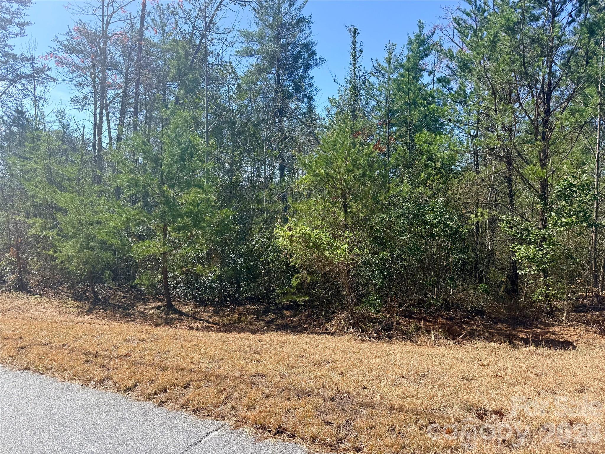 Tbd John Wilson Lane Property Photo 7