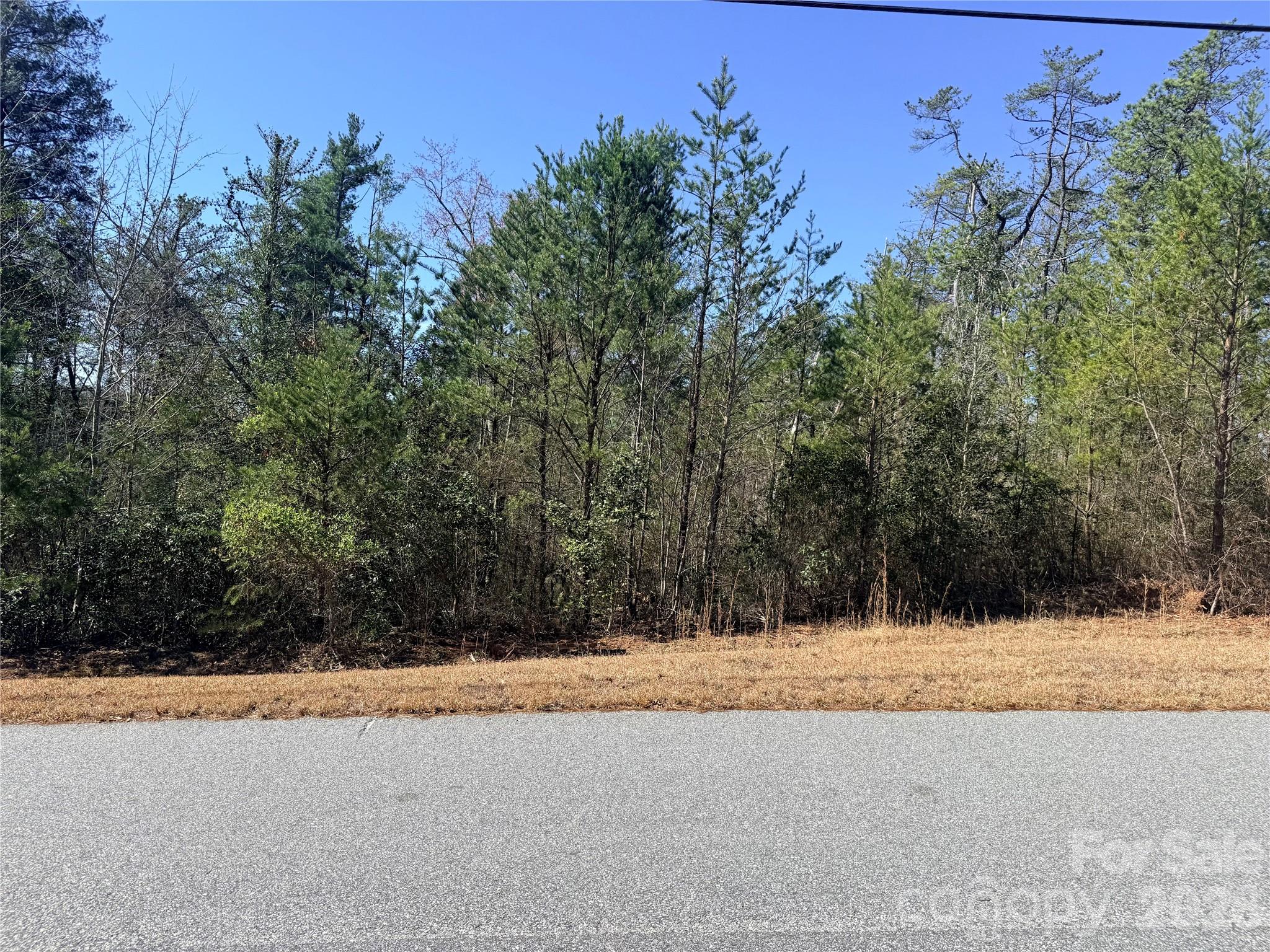 Tbd John Wilson Lane Property Photo 8