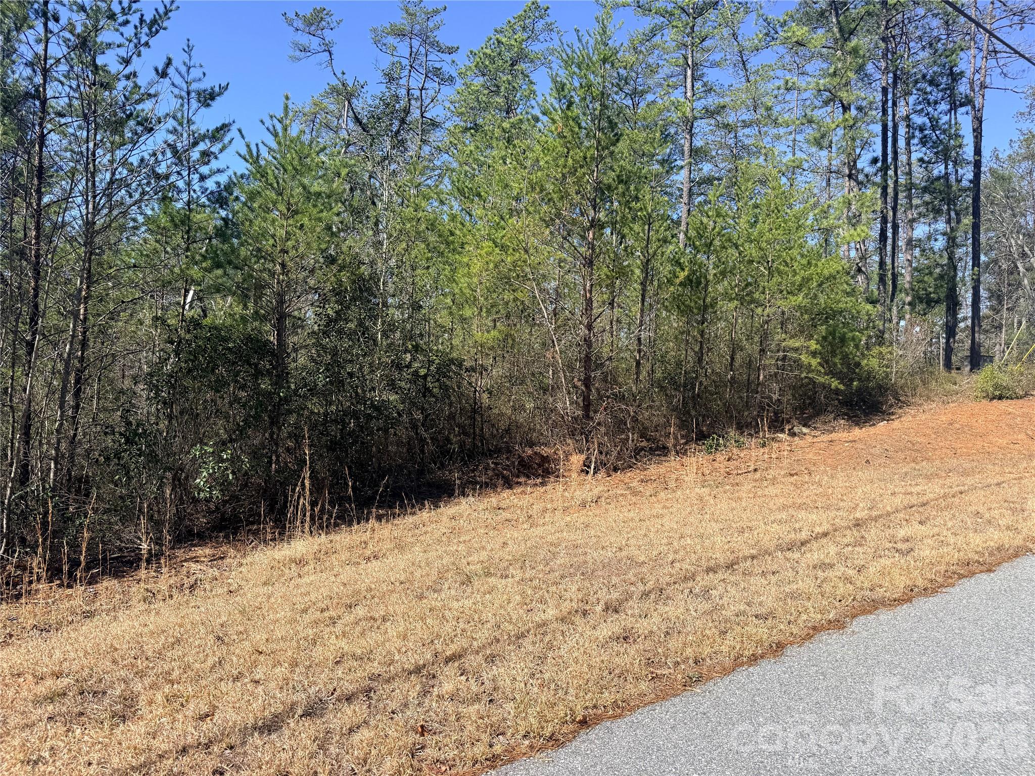 Tbd John Wilson Lane Property Photo 9