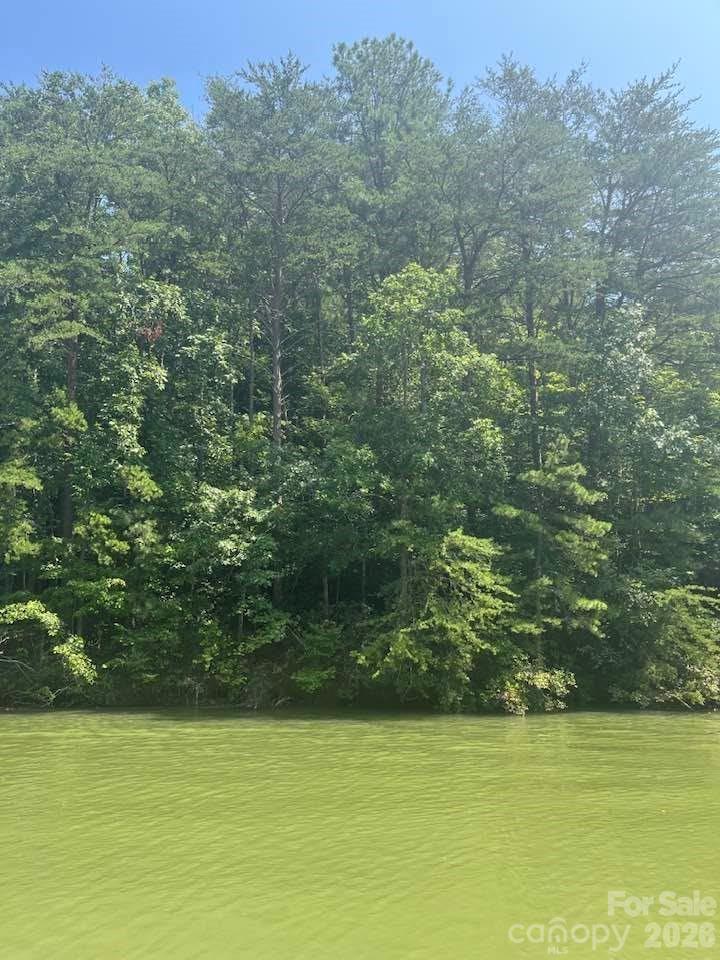 00 Canoe Drive 44 Property Photo 2