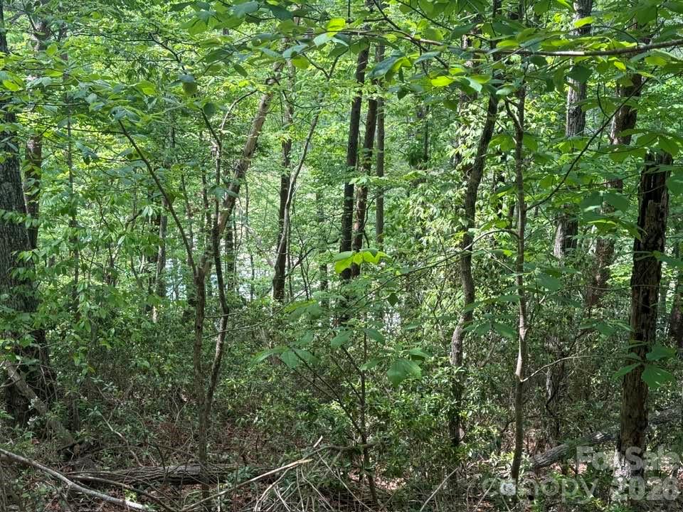 00 Canoe Drive 44 Property Photo 17
