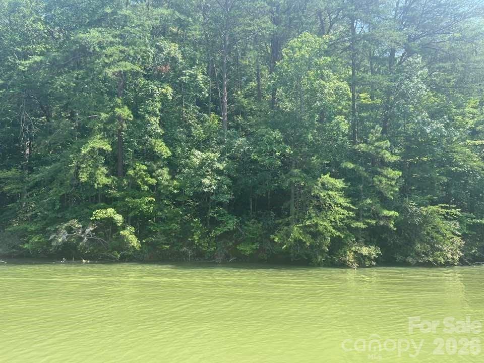 00 Canoe Drive 44 Property Photo 36