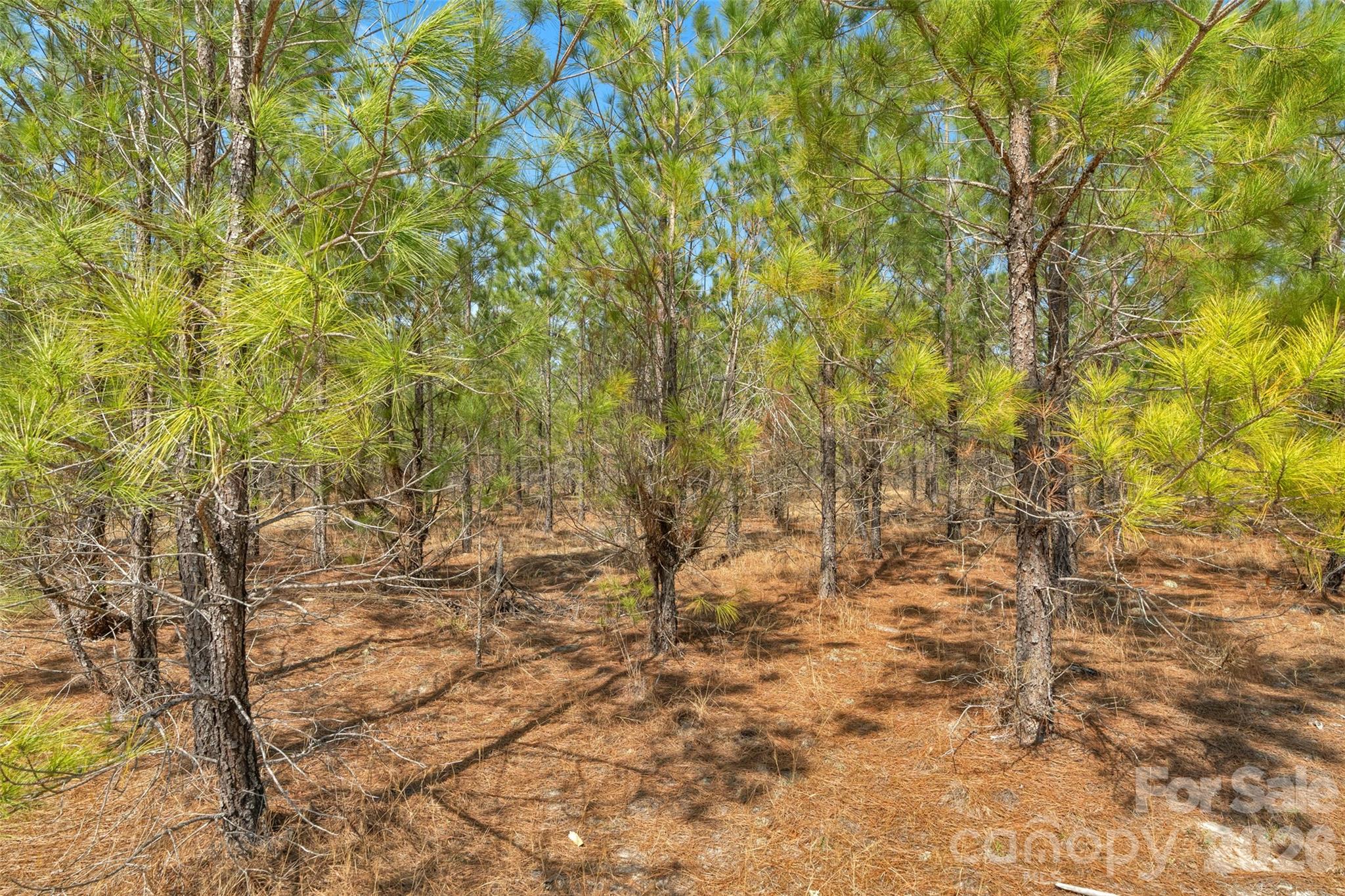 931 Charlie Johnson Road 8 Property Photo 8