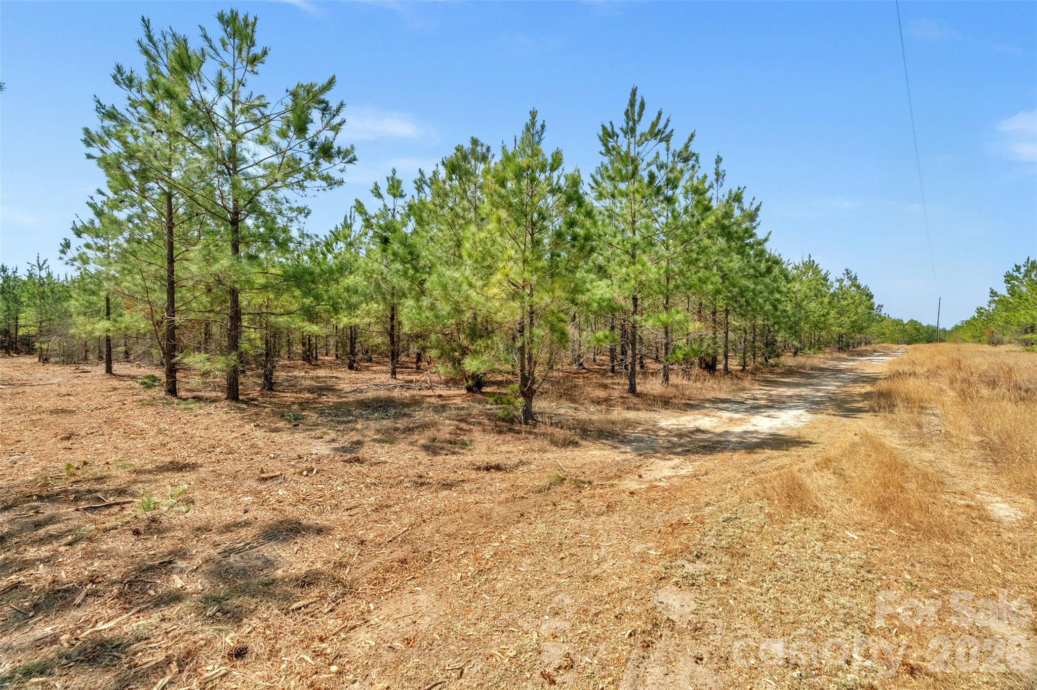 931 Charlie Johnson Road 8 Property Photo 10