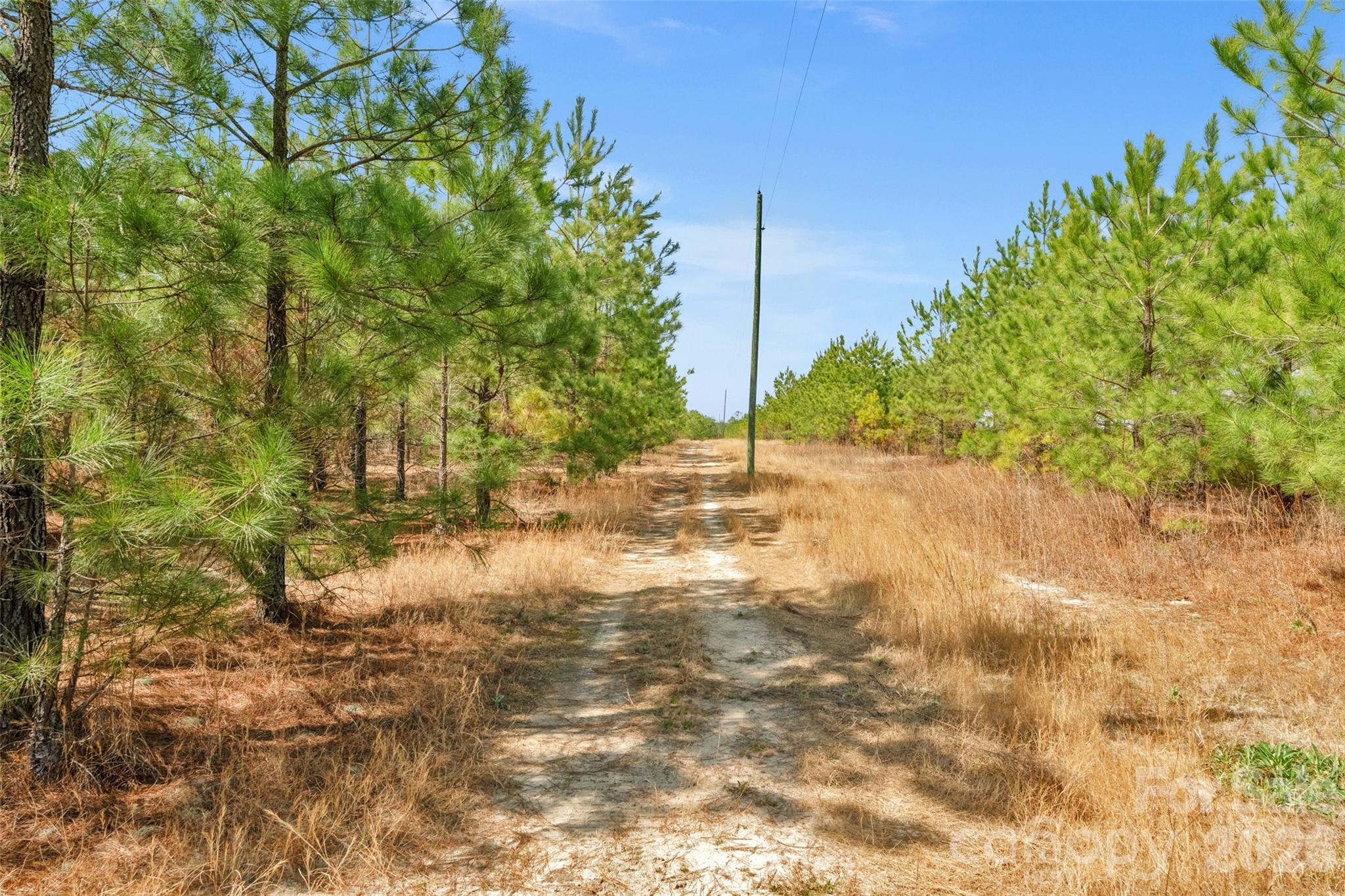 931 Charlie Johnson Road 8 Property Photo 11