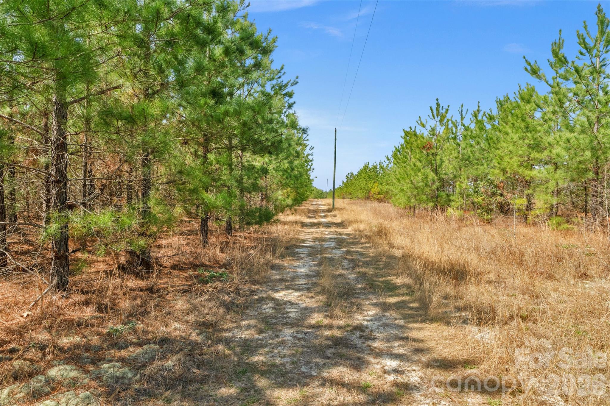 931 Charlie Johnson Road 8 Property Photo 12