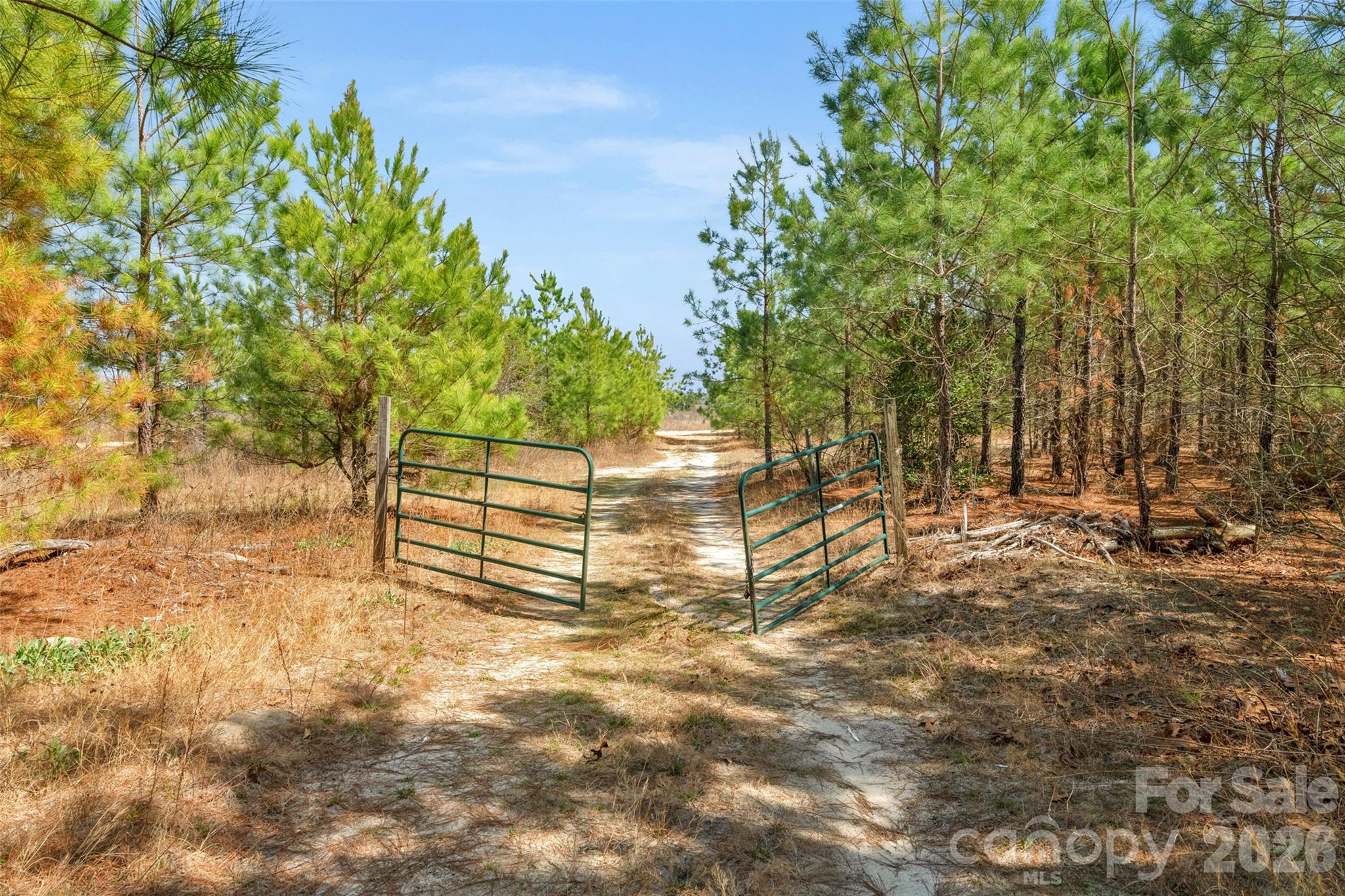 931 Charlie Johnson Road 8 Property Photo 13