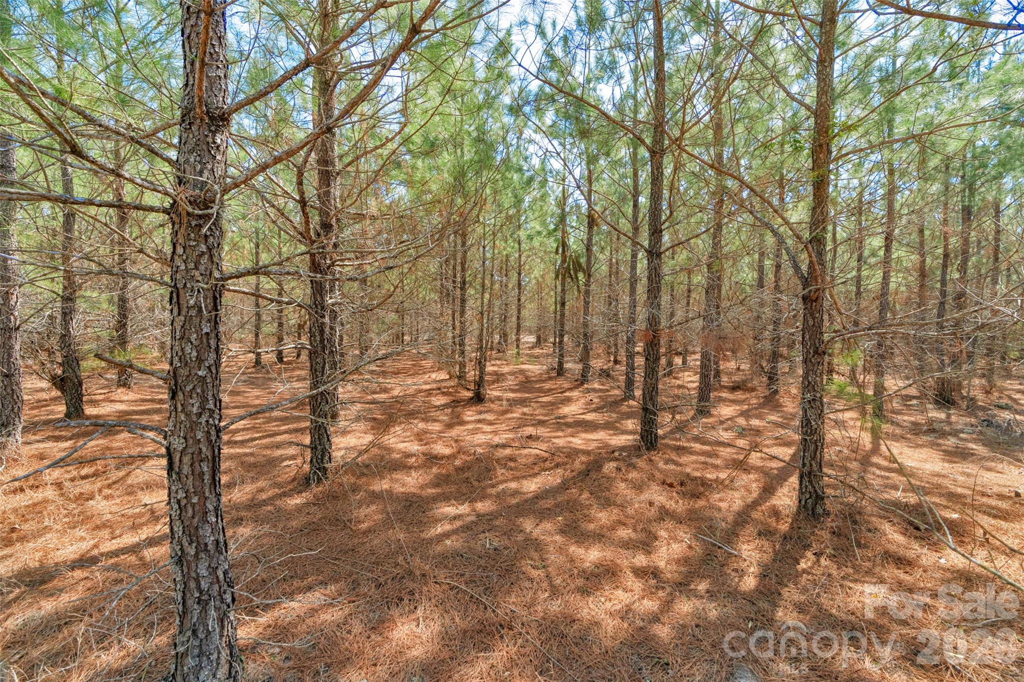 931 Charlie Johnson Road 8 Property Photo 17