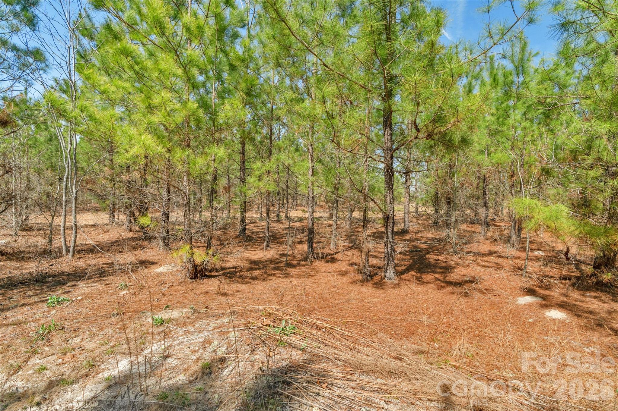 931 Charlie Johnson Road 8 Property Photo 18
