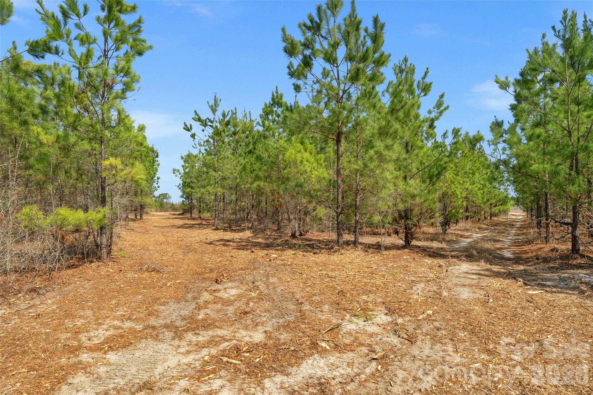 931 Charlie Johnson Road 8 Property Photo 20