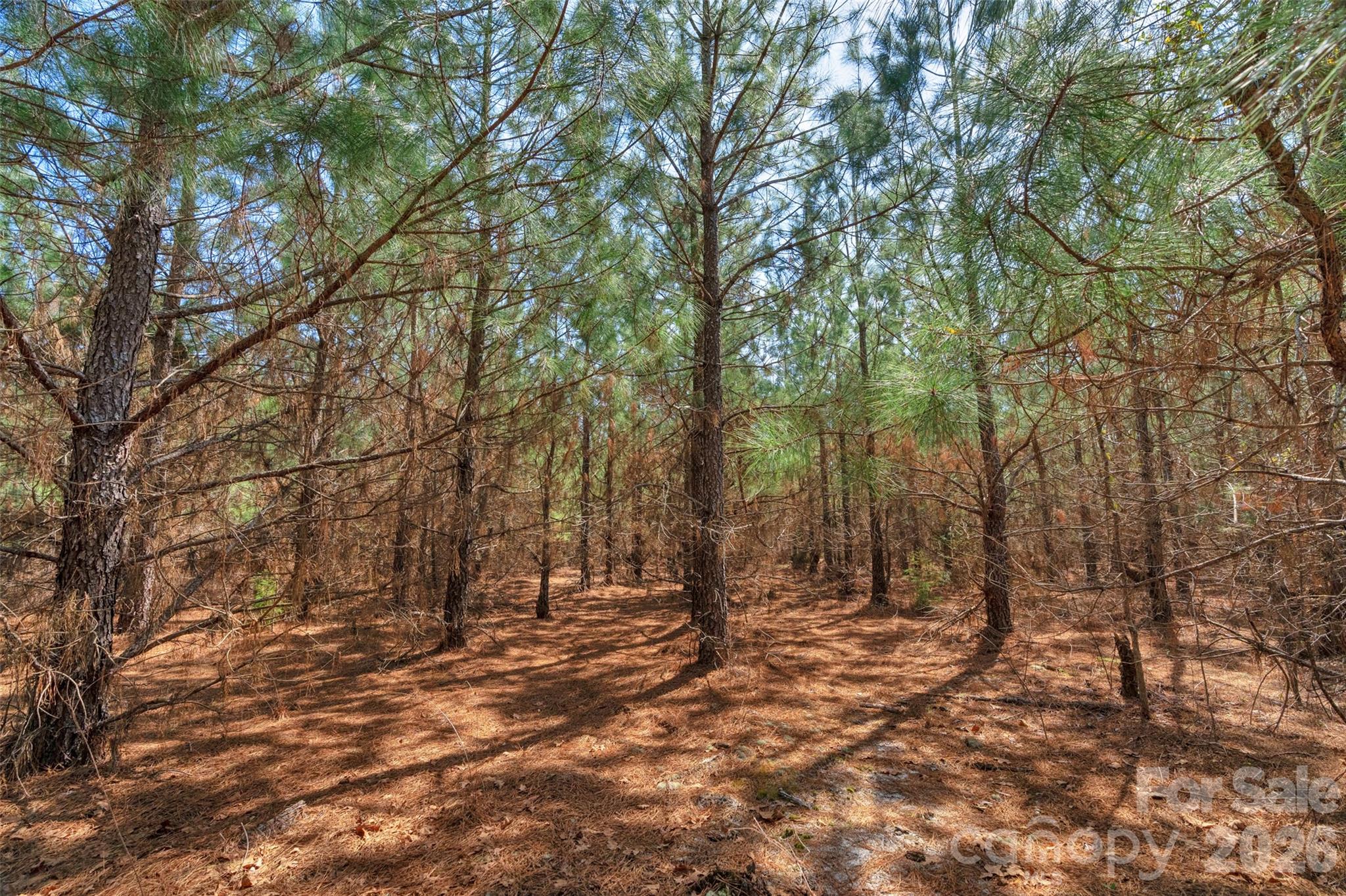 931 Charlie Johnson Road 8 Property Photo 21
