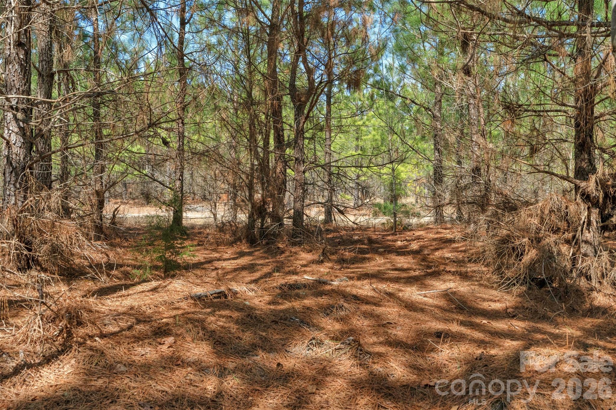 931 Charlie Johnson Road 8 Property Photo 22