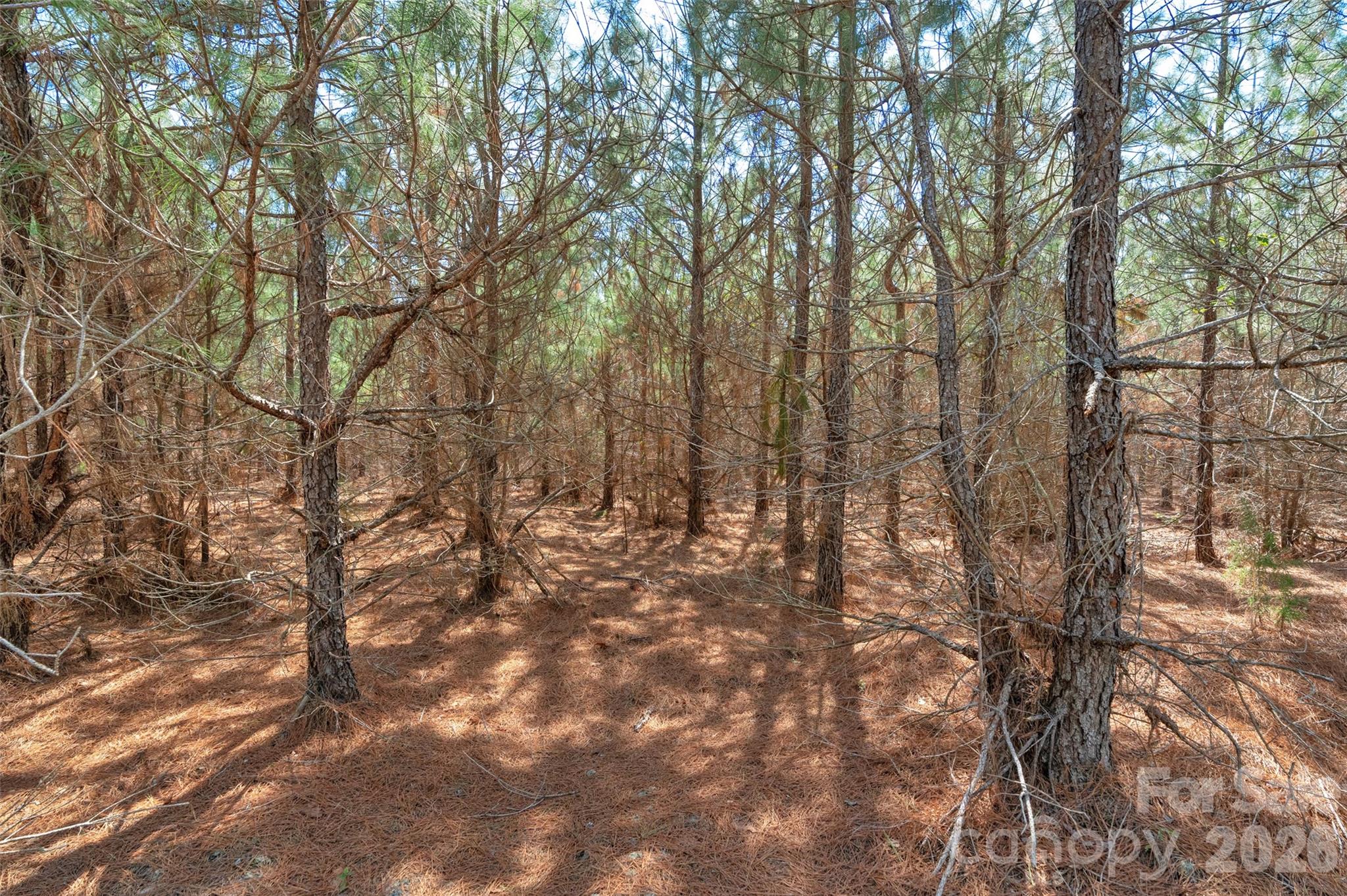 931 Charlie Johnson Road 8 Property Photo 23