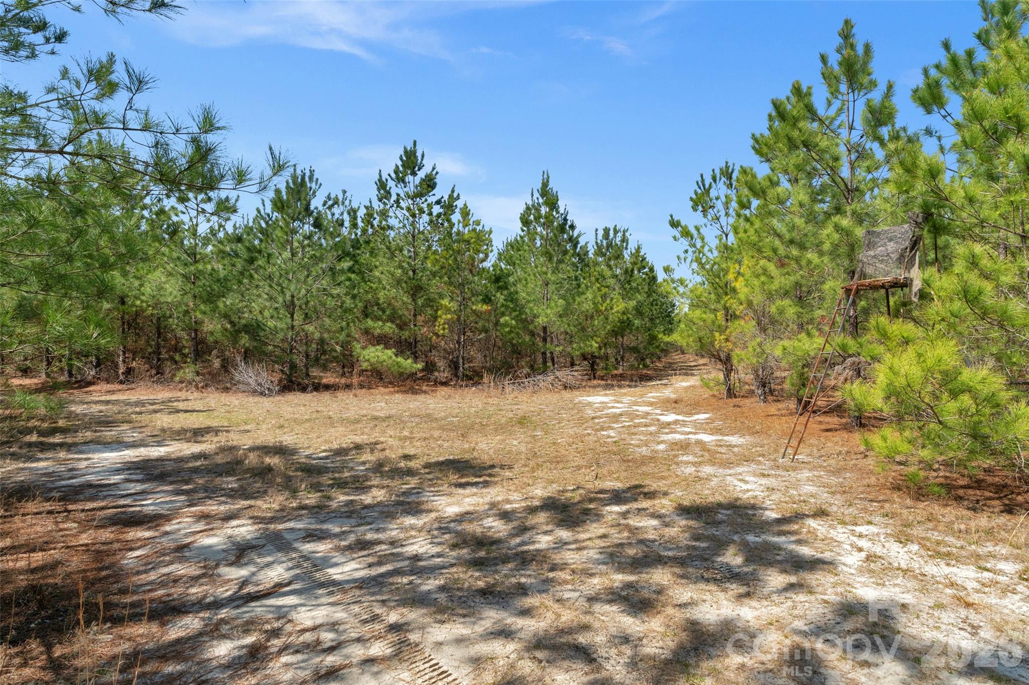 931 Charlie Johnson Road 8 Property Photo 24