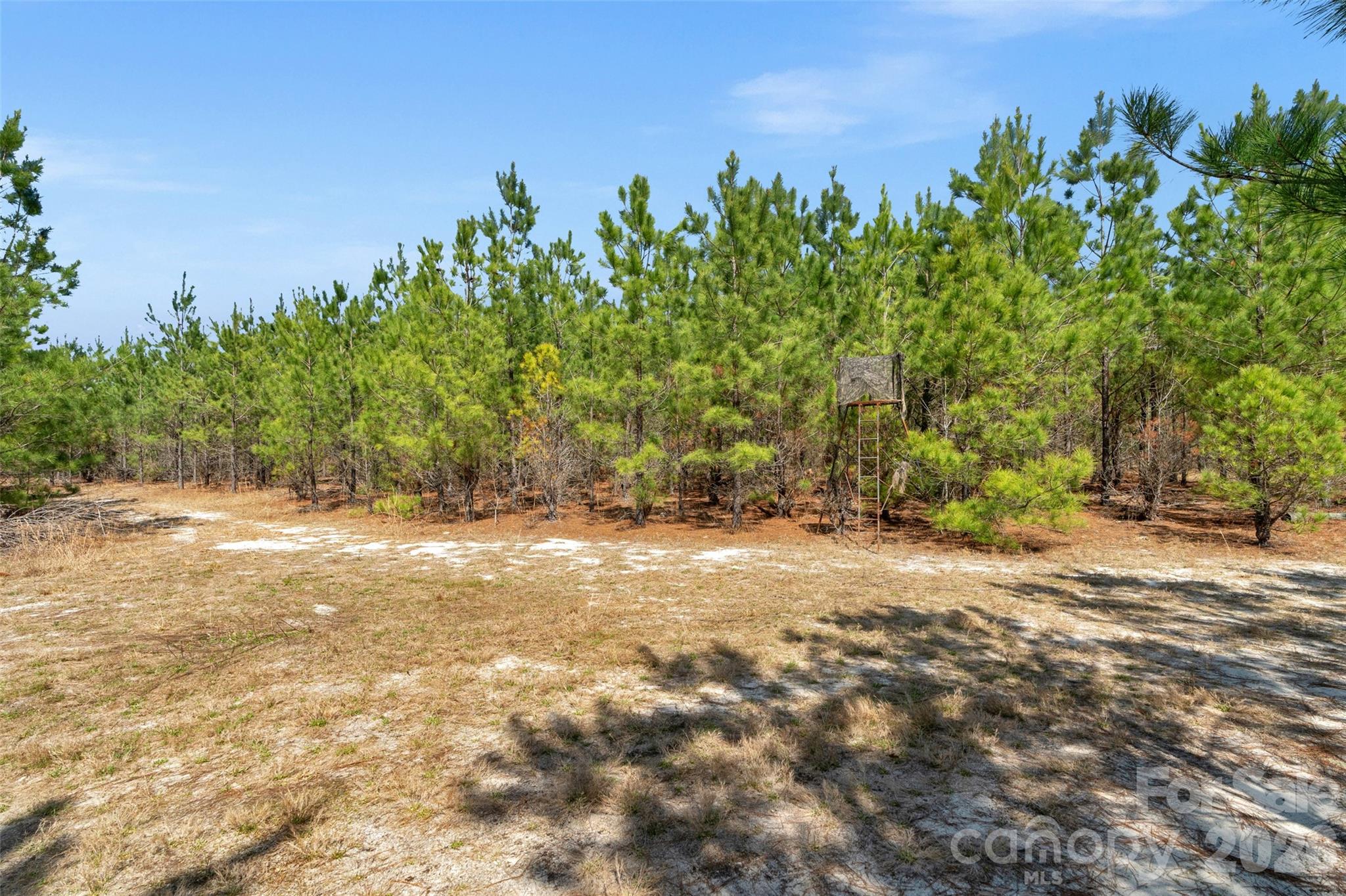 931 Charlie Johnson Road 8 Property Photo 25