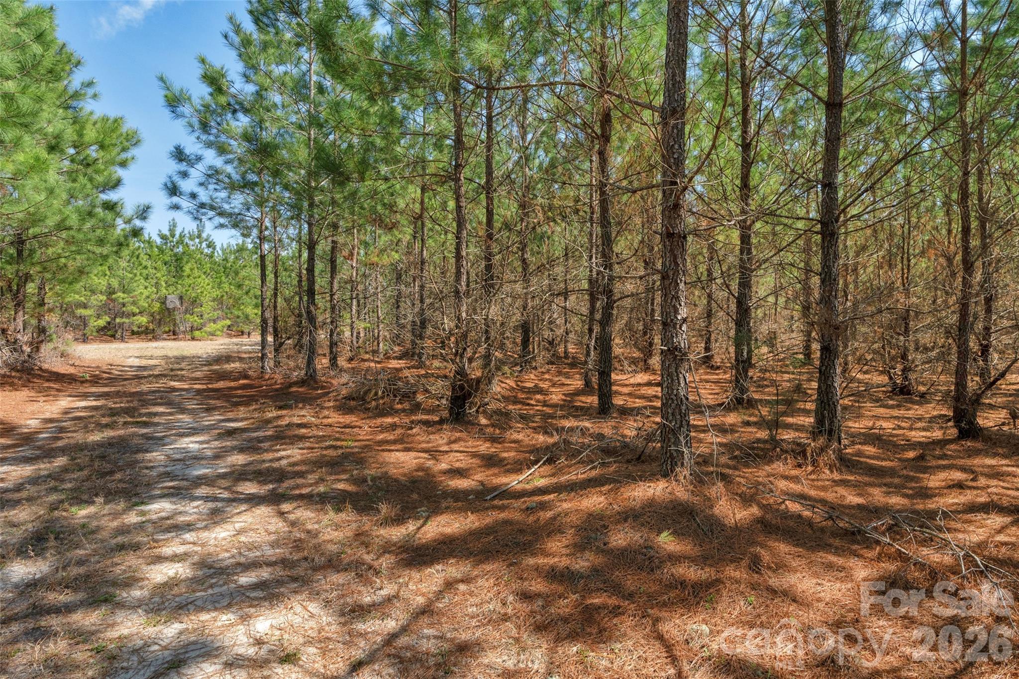 931 Charlie Johnson Road 8 Property Photo 26